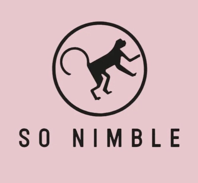 so-nimble-books.com