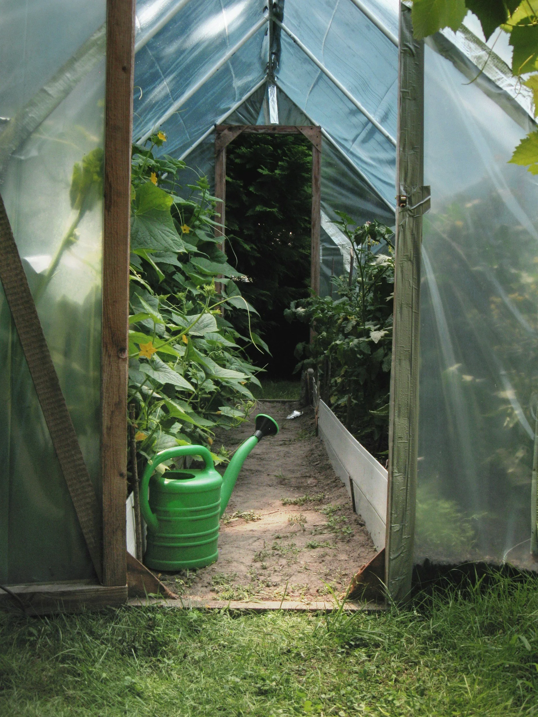 Benodigdheden voor als je een moestuin wil beginnen - Kassen/Greenhouse