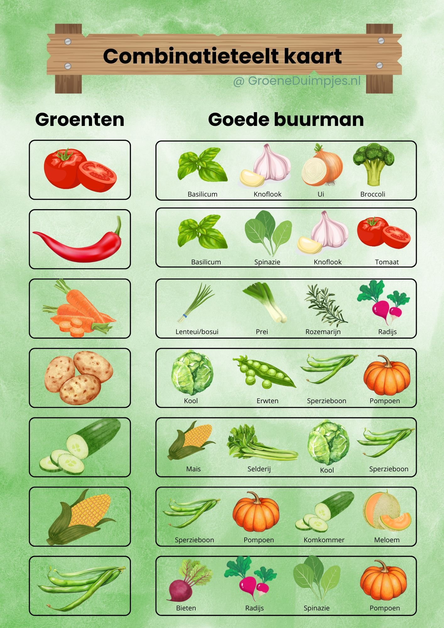 combinatieteelt kaart moestuin.jpg