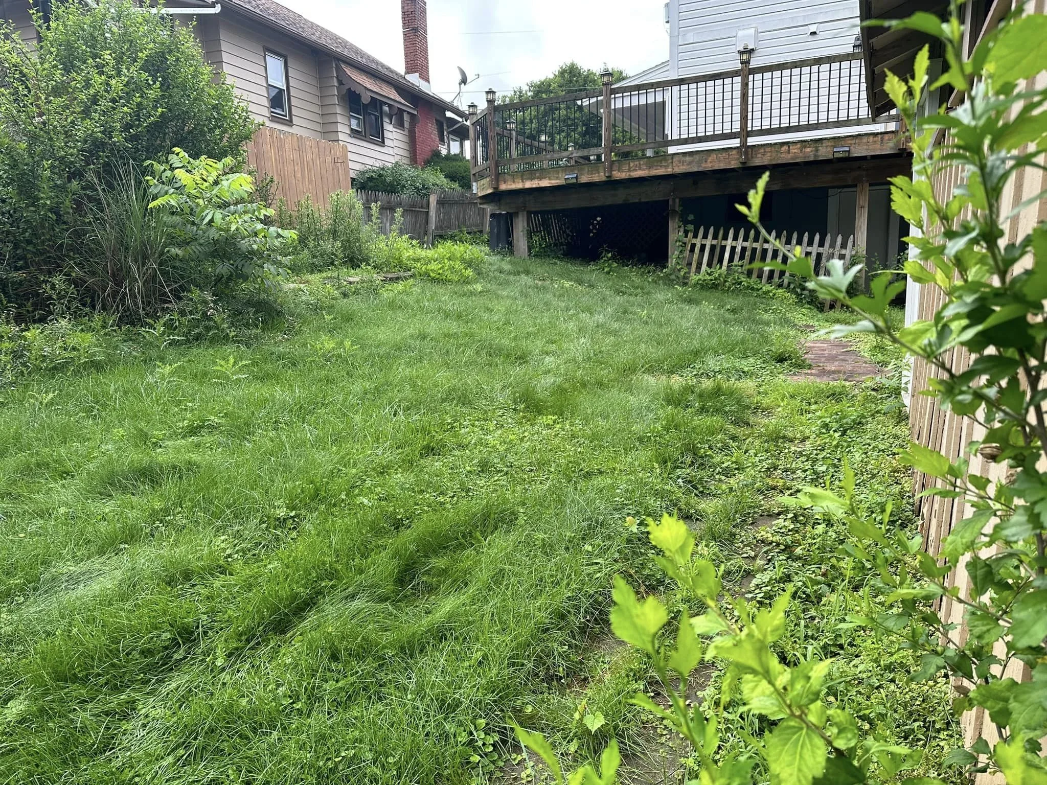 Backyard with green grass, bushes, and a deck with railing attached to a house. Fencing and neighboring houses visible.