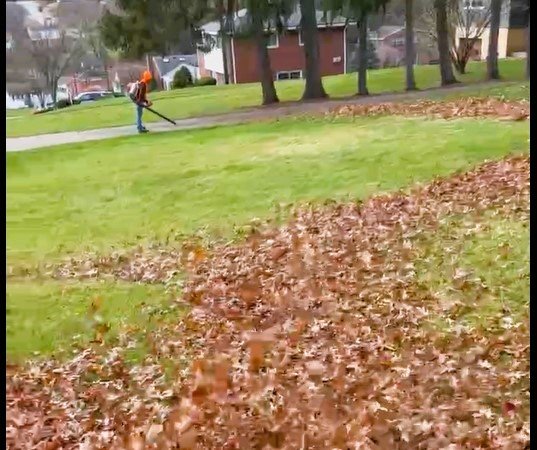 Person raking leaves in a park with trees and residential houses in the background.
