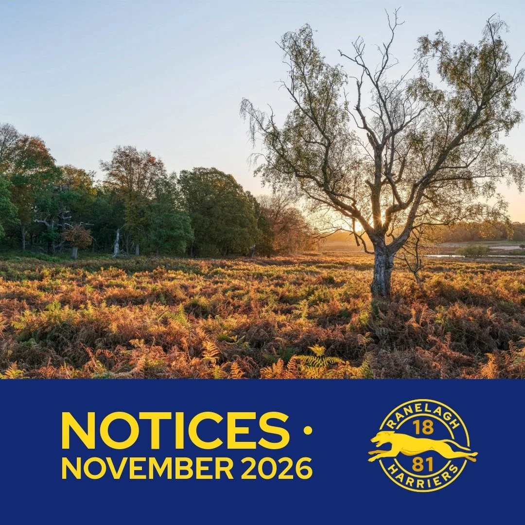 November Notices