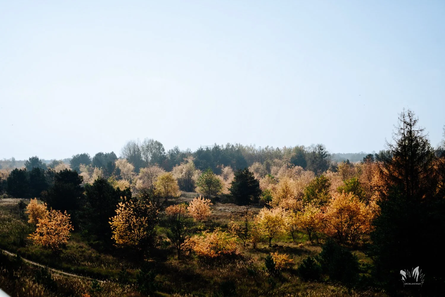 Lr-02370_wasserzeichen.jpg