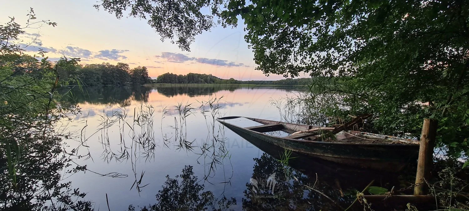 Lr_1500insta_20240825_200356_wasserzeichen.jpg