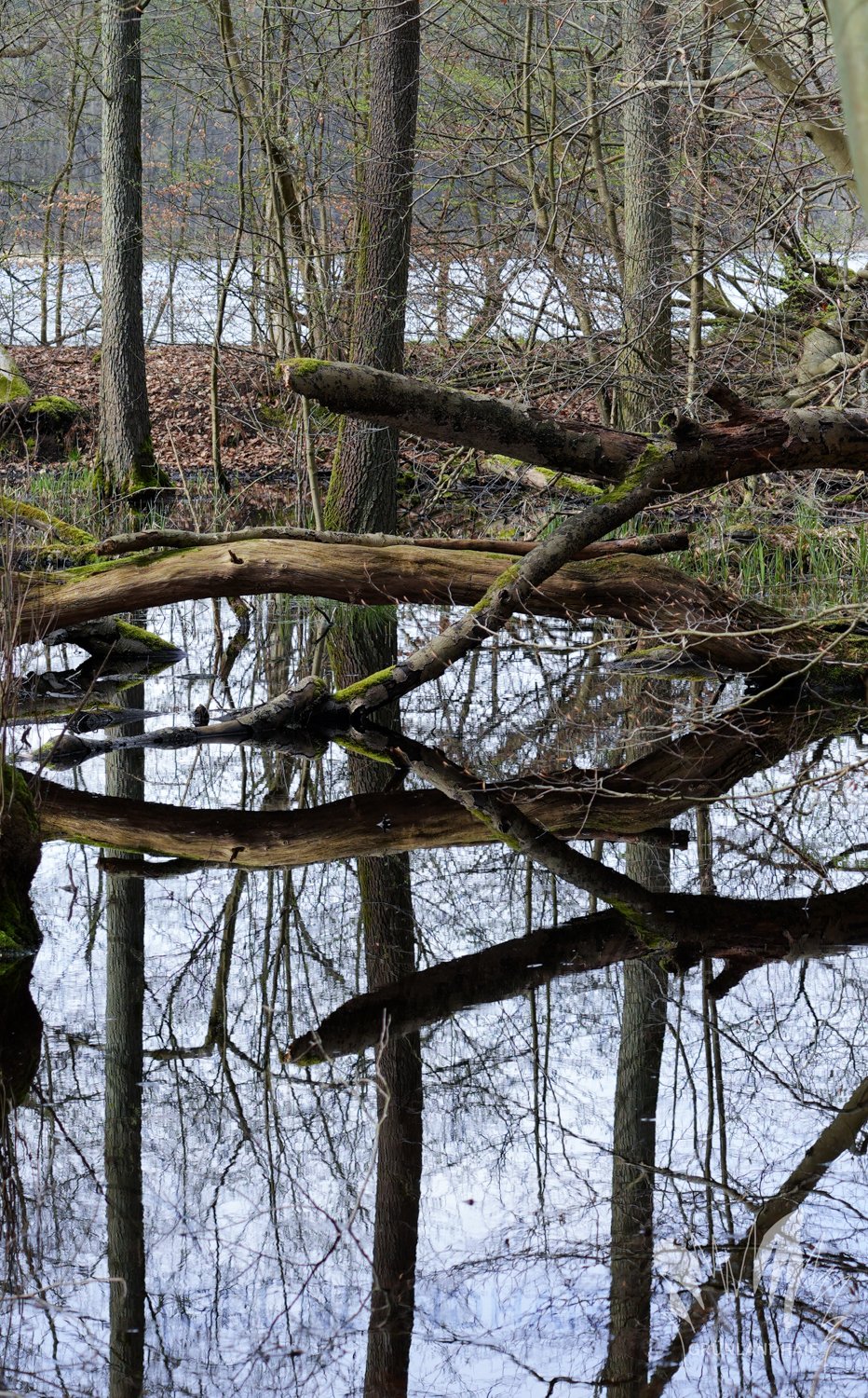 Lr_1500insta_00046_wasserzeichen_01.jpg