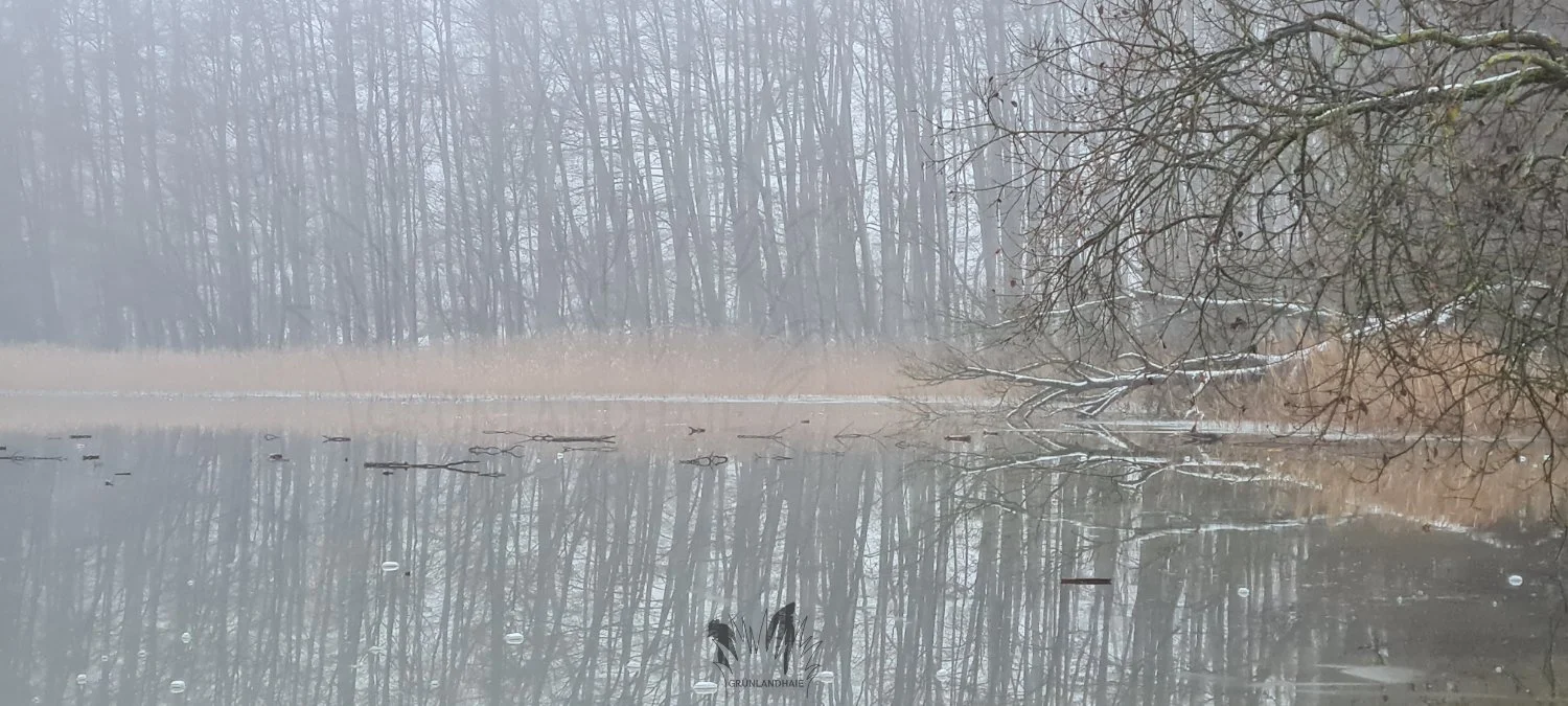 20211229_154538_cpyr.jpg