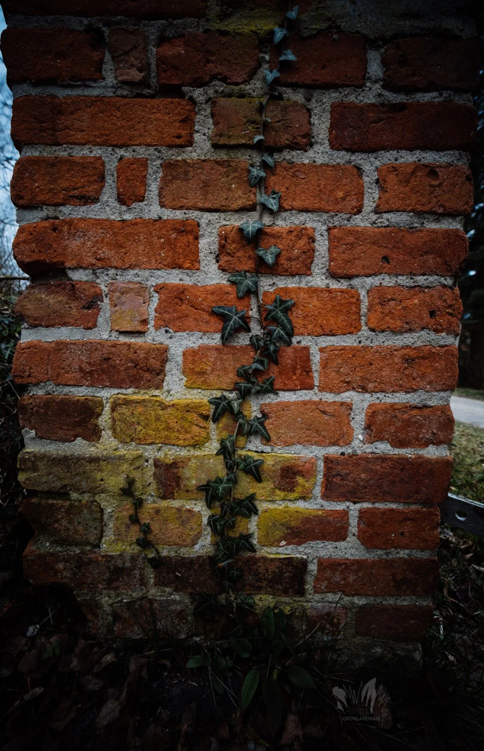 Lr_-05734_cpyr.jpg