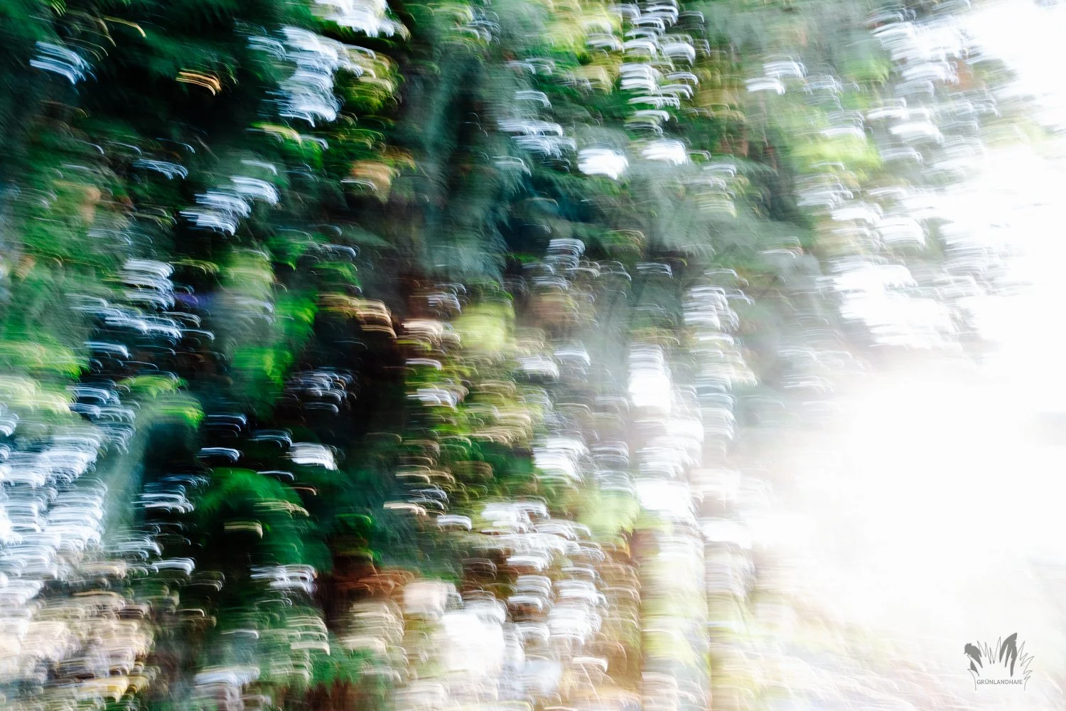 ICM