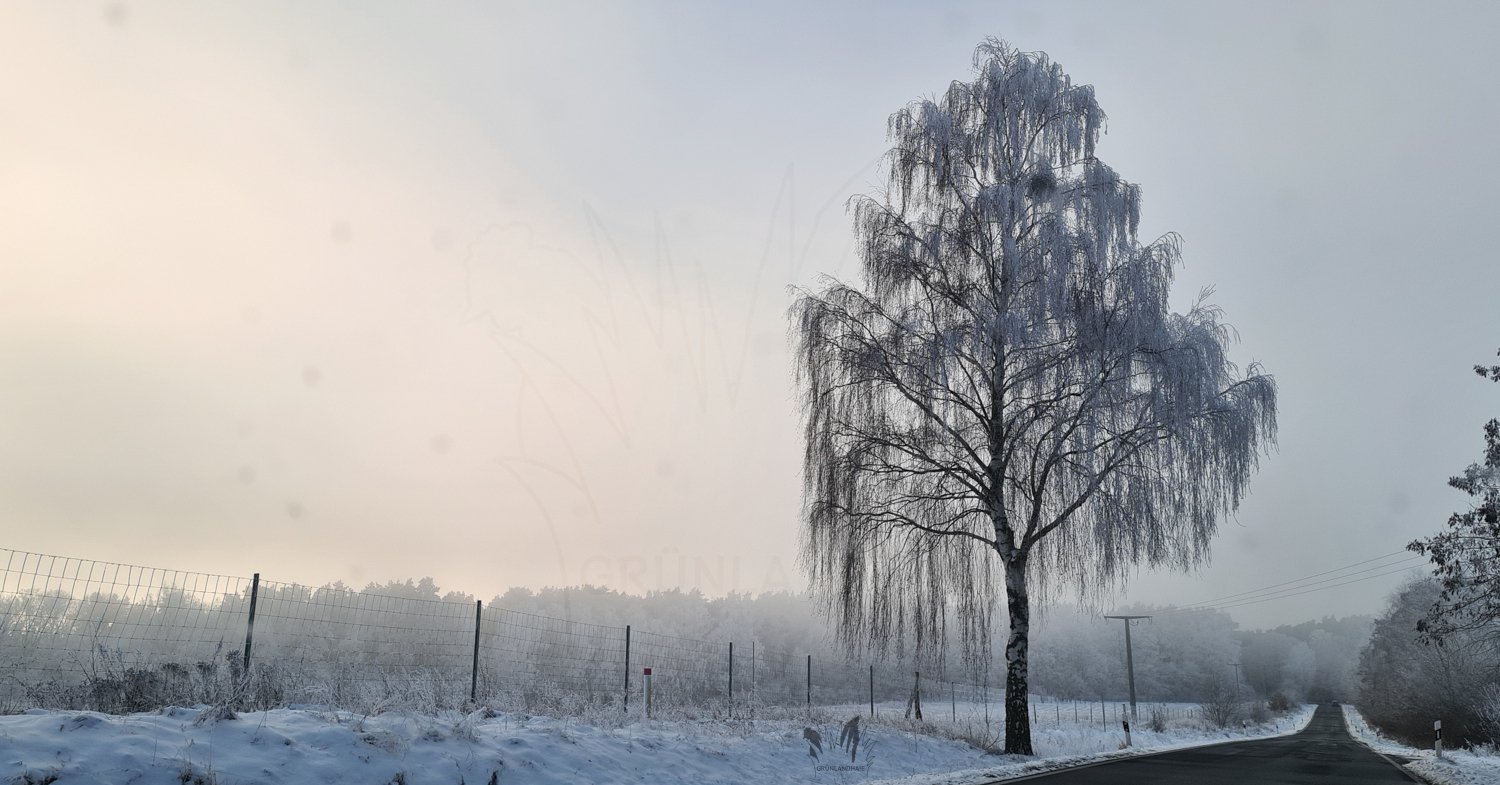Lr_-143417_wasserzeichen.jpg