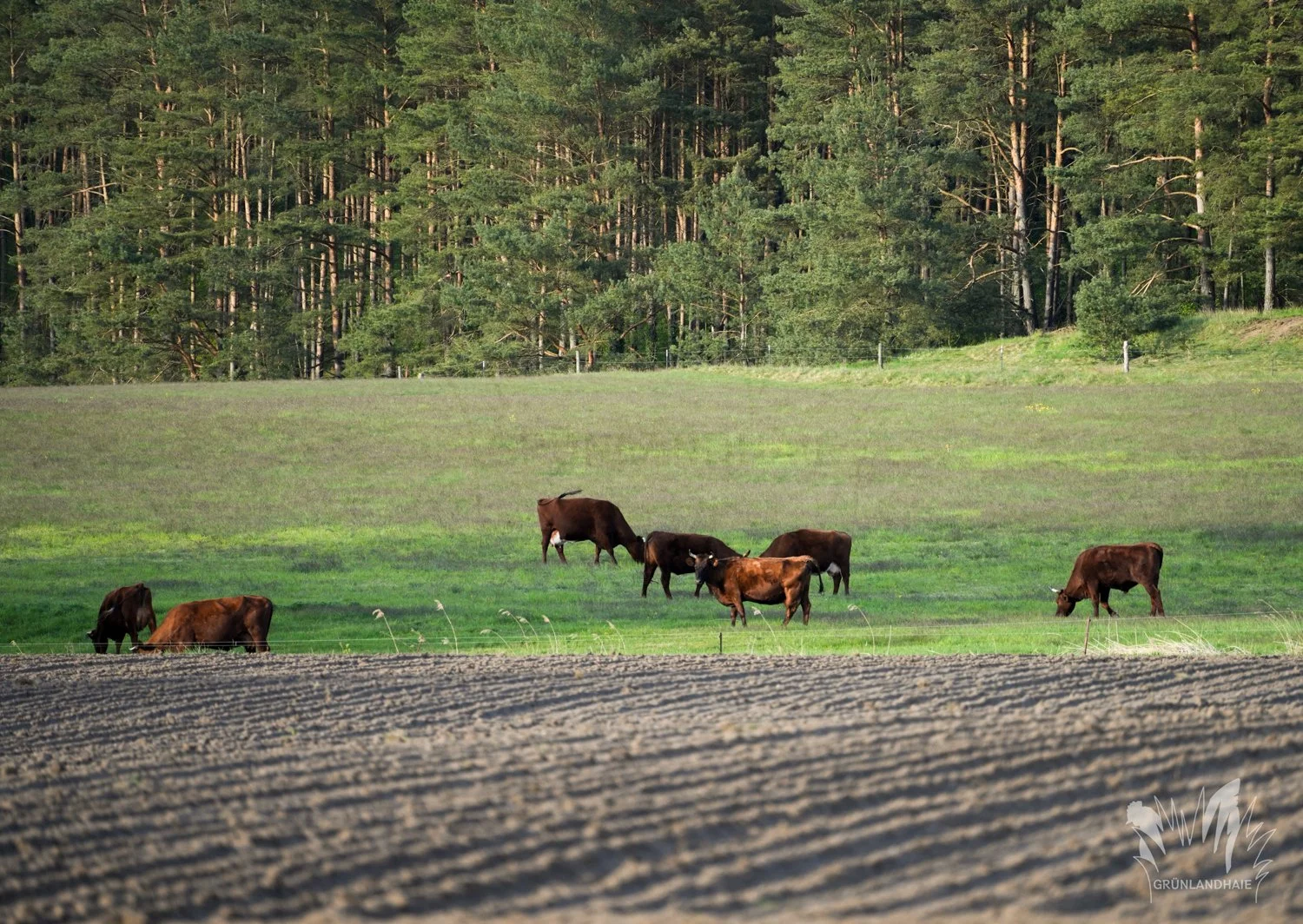 Lr_1500insta_Lr-00212_wasserzeichen.jpg