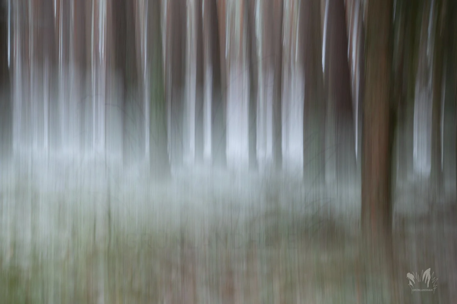 Lr_-01578_wasserzeichen.jpg
