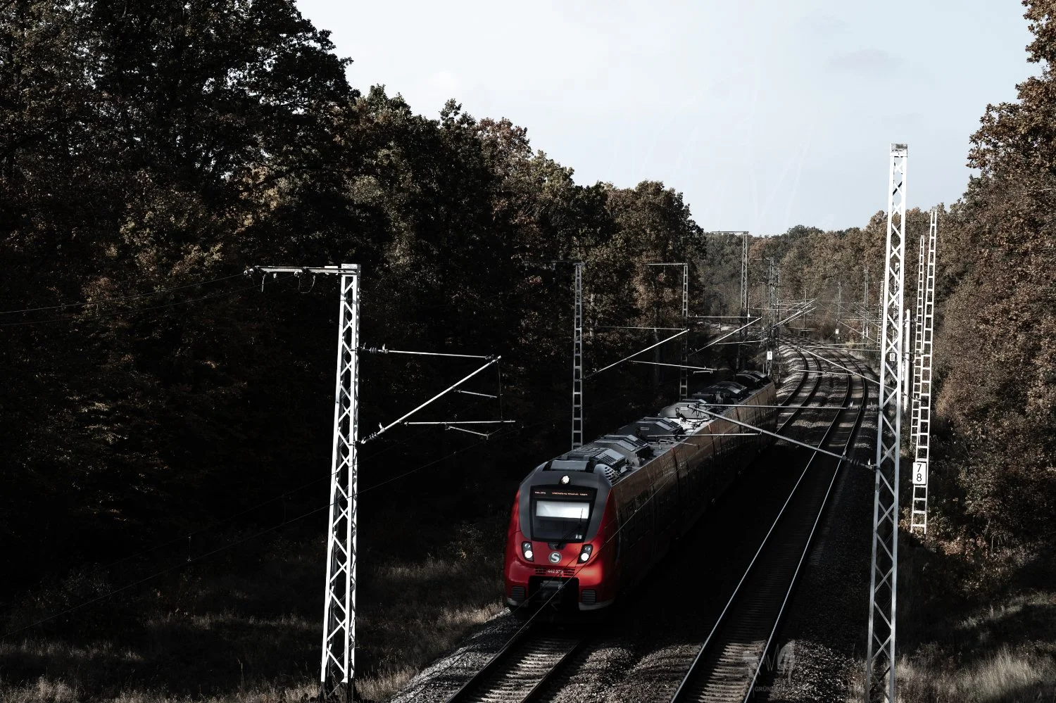 Lr_-02410_cpyr.jpg