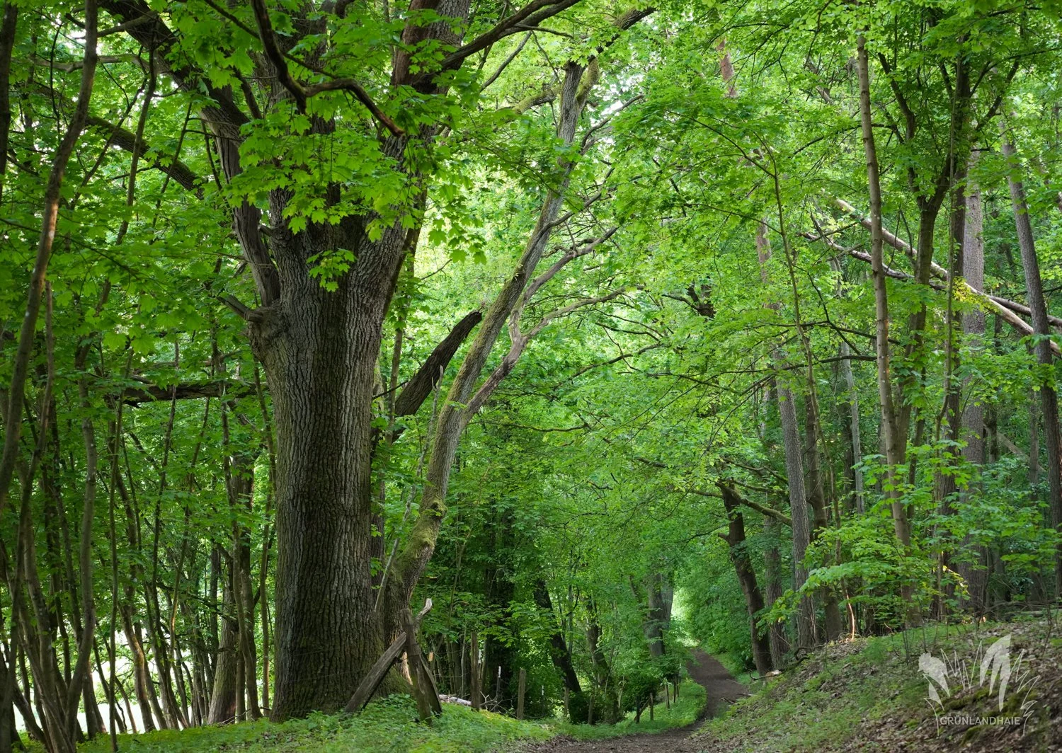 Lr_1500insta_Lr-00360_wasserzeichen.jpg