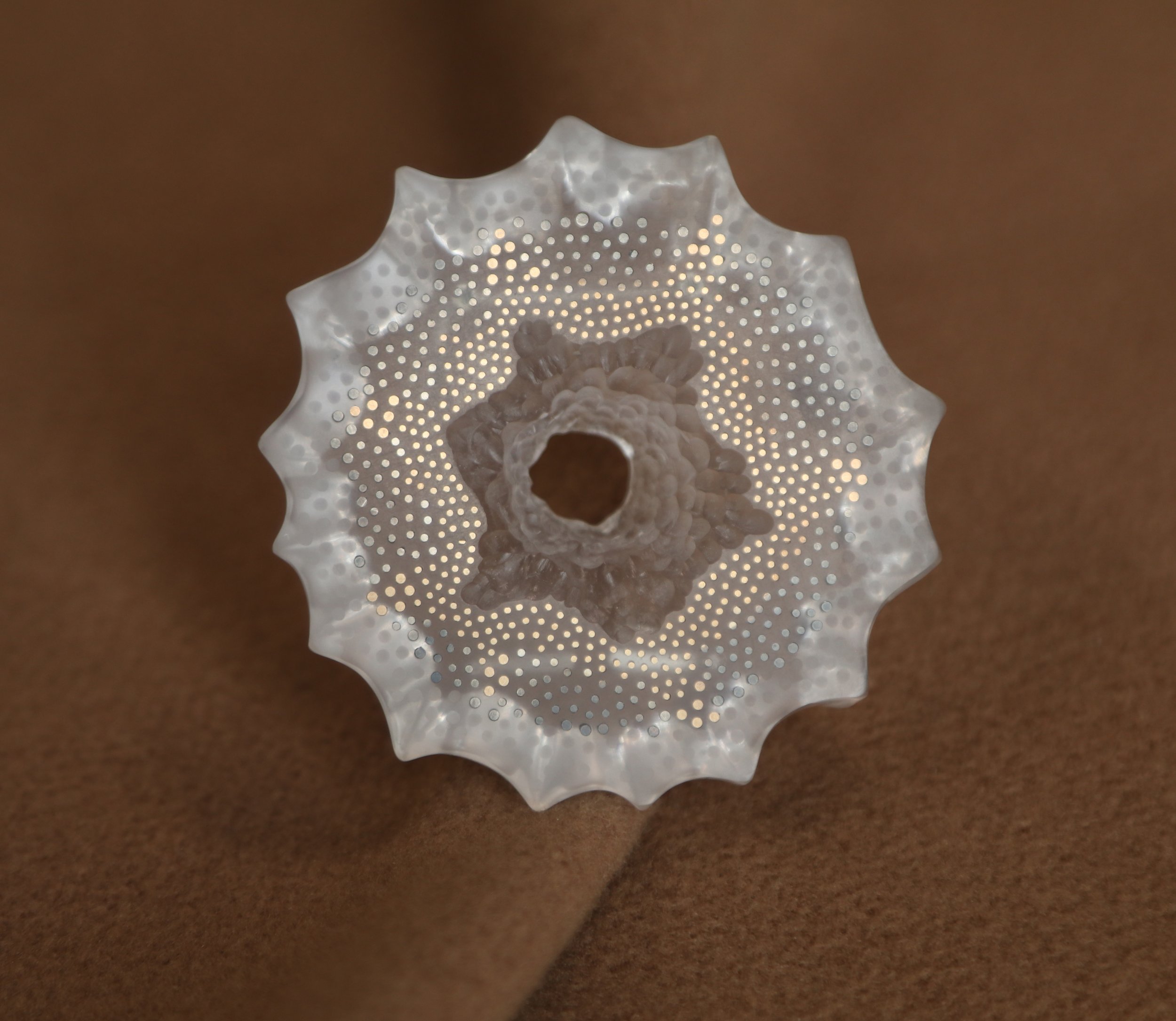 suss urchin brooch.jpg