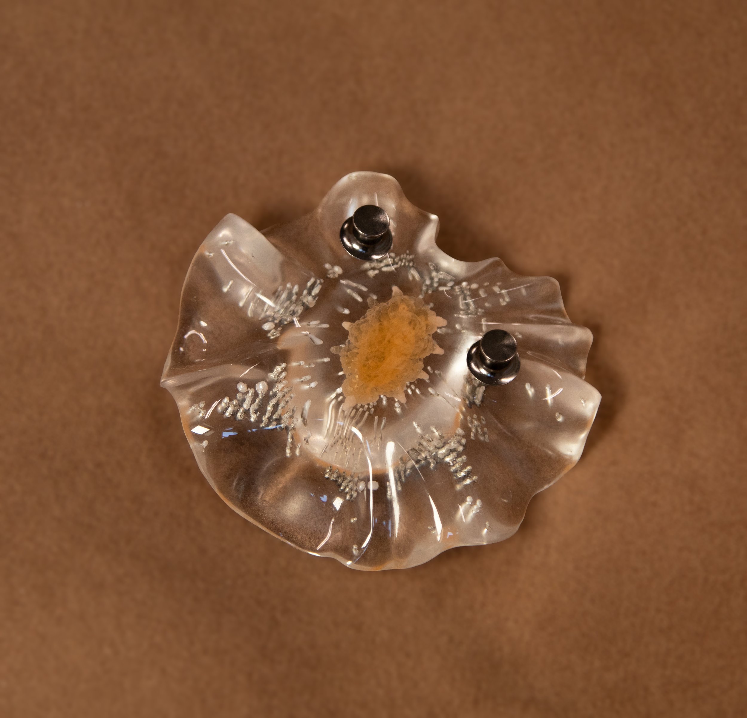 EmmelineHastings_2025_ Nudi Brooch_3.jpg