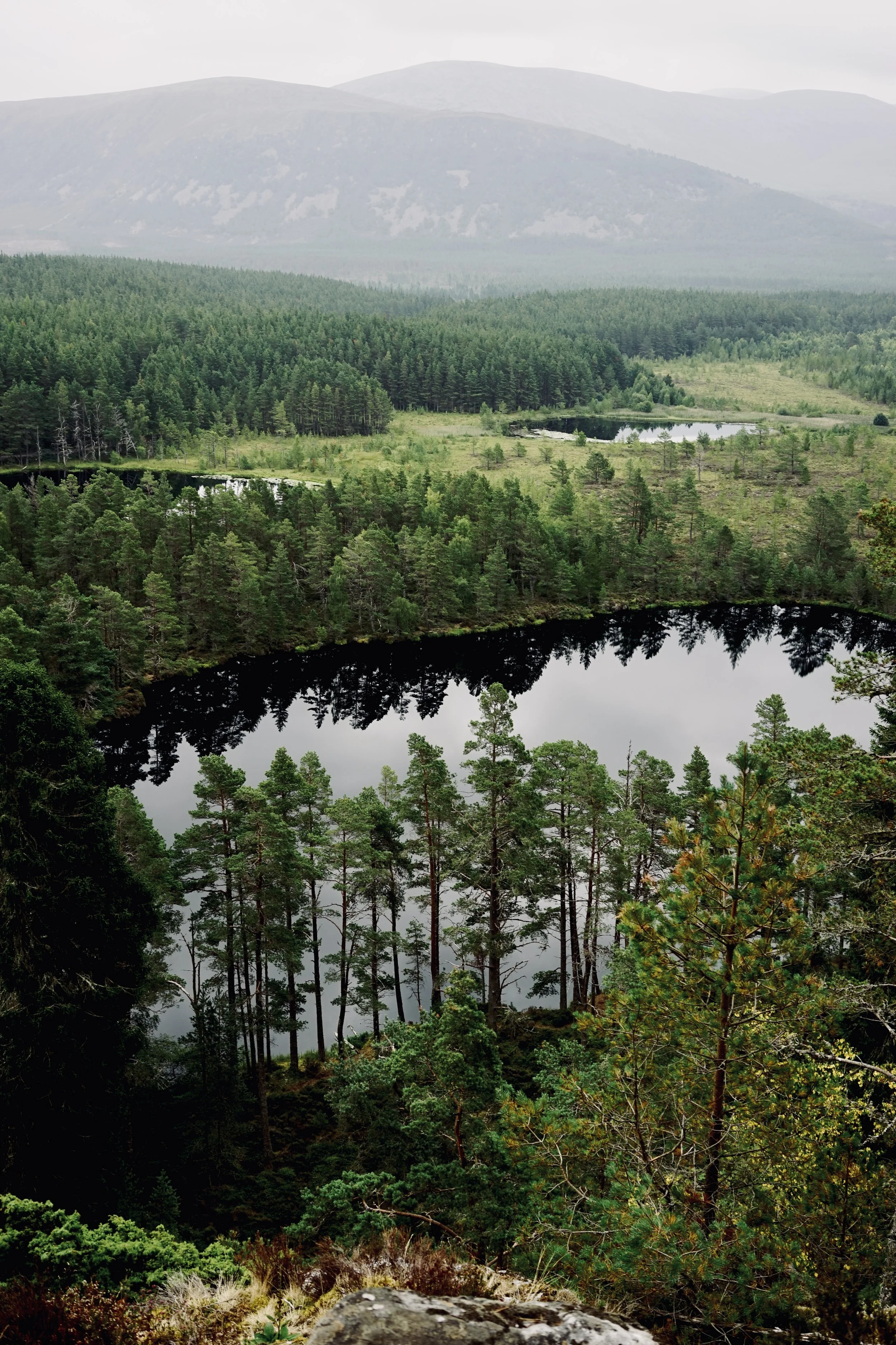 Looking down on a beautiful valley in the Cairngorms