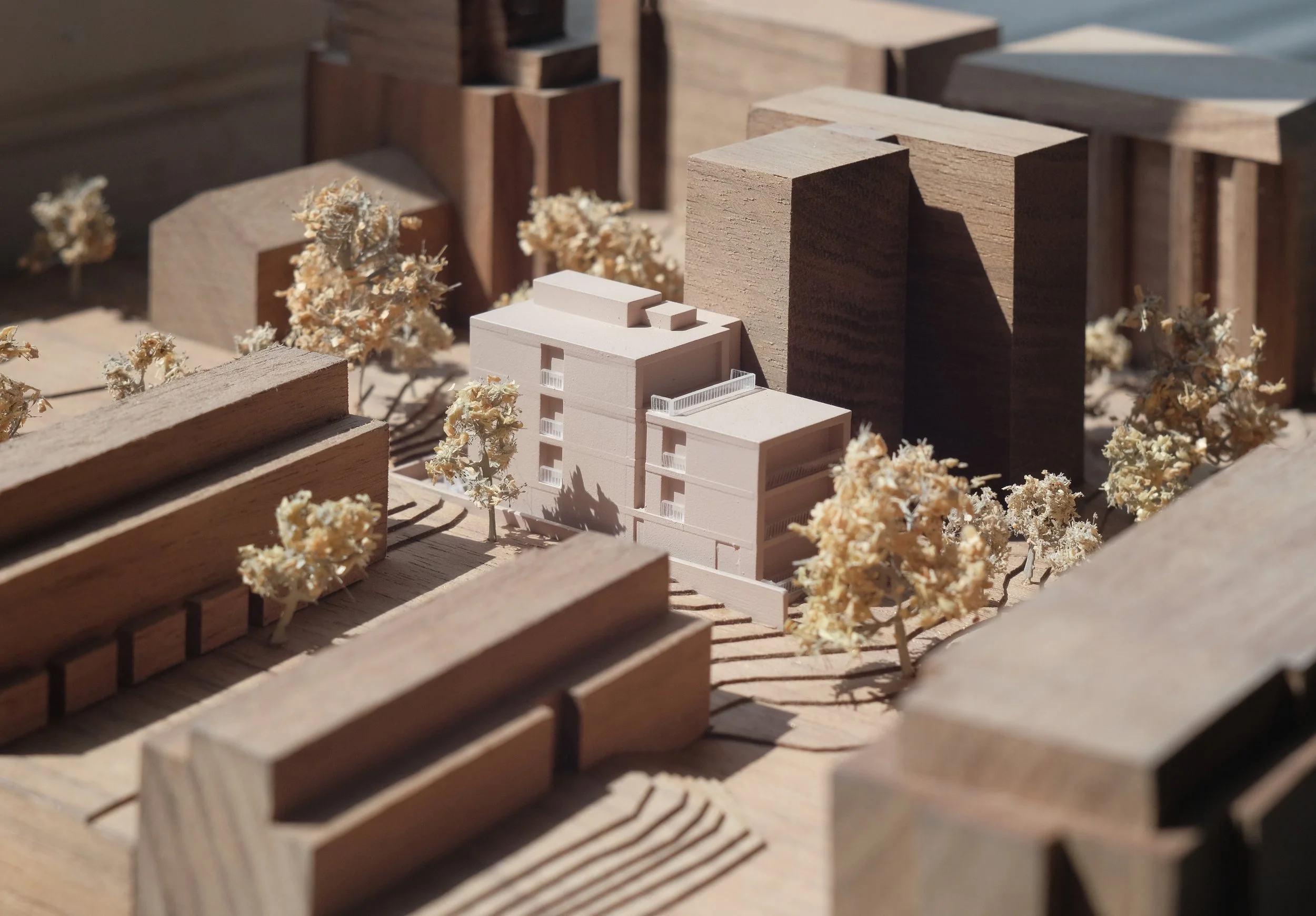 Carbogno Ceneda Architects — Broxwood View