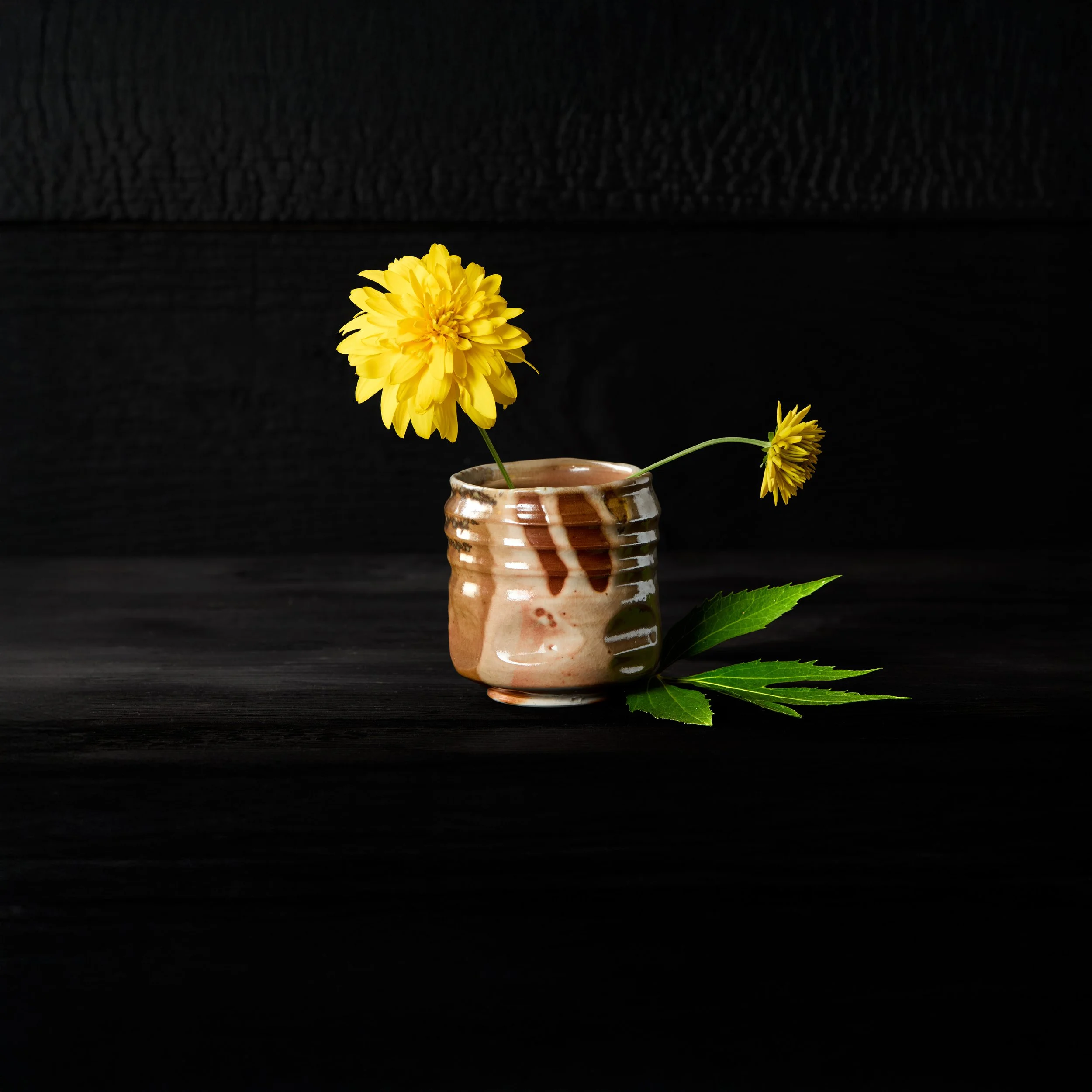 MSCR Pottery Sale