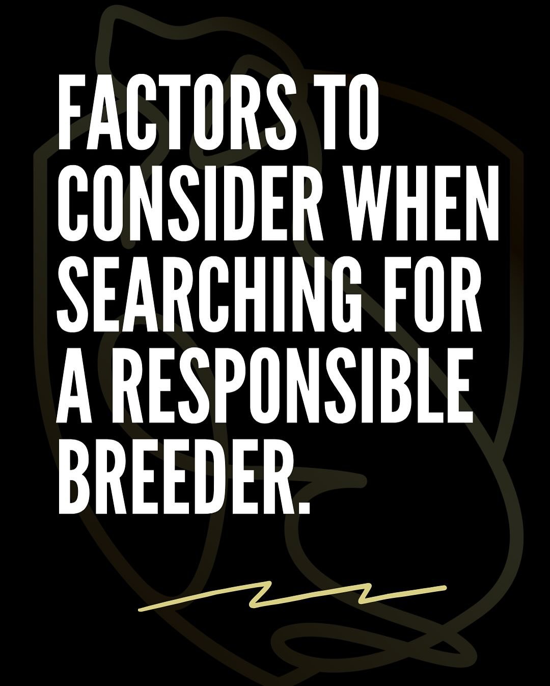 A lot of people ask me: “Adopt or shop?” My answer? Do what’s right for you and your lifestyle—but if you’re going to shop, do it responsibly.
Start with research, not impulse. Don’t choose a dog just because it l