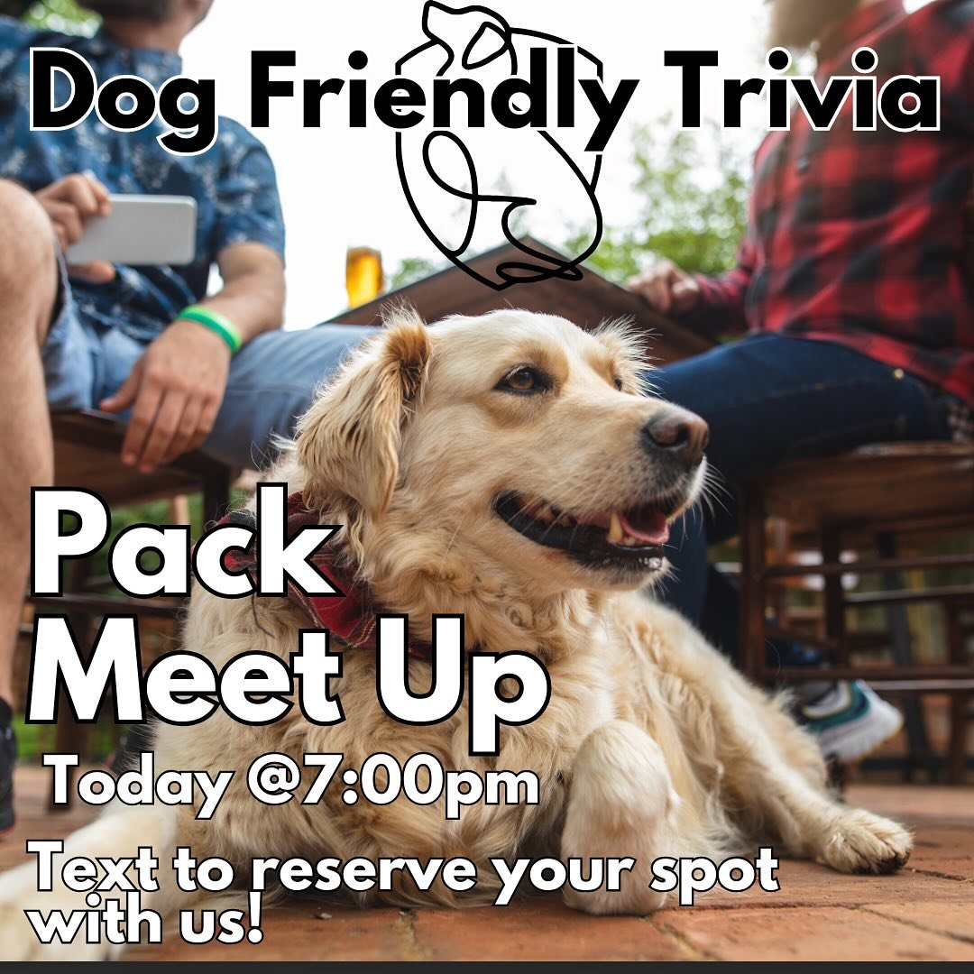 Join us for our first-ever Trivia Pack Meetup—tonight at 7:00 PM!
We’re heading to our favorite Locavore brewery in Littleton for an evening of brain-teasing fun and good vibes. Bring your pup and practice polite manners indoors while we
