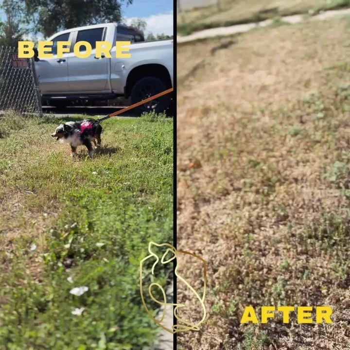 This cycle, we’ve got a couple of spicy girls in the mix!
We’re only halfway through our program, and they’re already making incredible progress toward a more balanced state.
So proud of how far they’ve come in just a week an