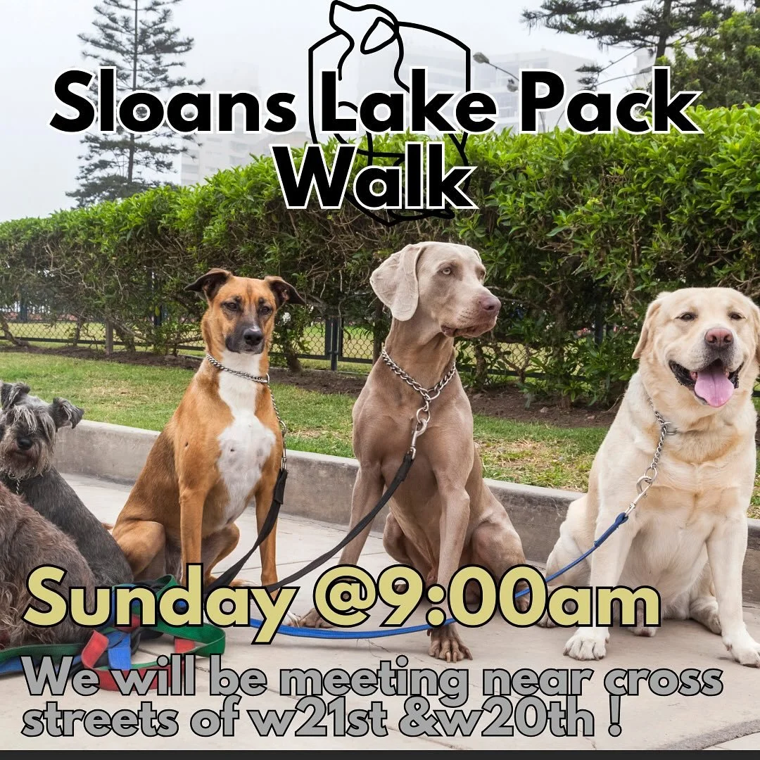 Join us for our Pack Walk at Sloan’s Lake this Sunday at 9:00 AM!
Bring your water, treats, and coffee for a fun-filled morning with TK9V. πΎ
Atlas will be there to support any dogs that need extra guidance within the pack.
Not sure where to