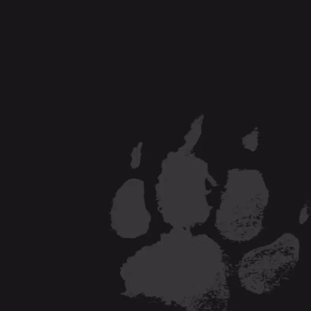 Join us for our Pack Walk this Sunday at Wash Park!
All dogs are welcome, no matter their reactivity level.
RSVP is now required—visit our website for details.
Please remember to bring treats, water, and poop bags.
We look forward to seeing y