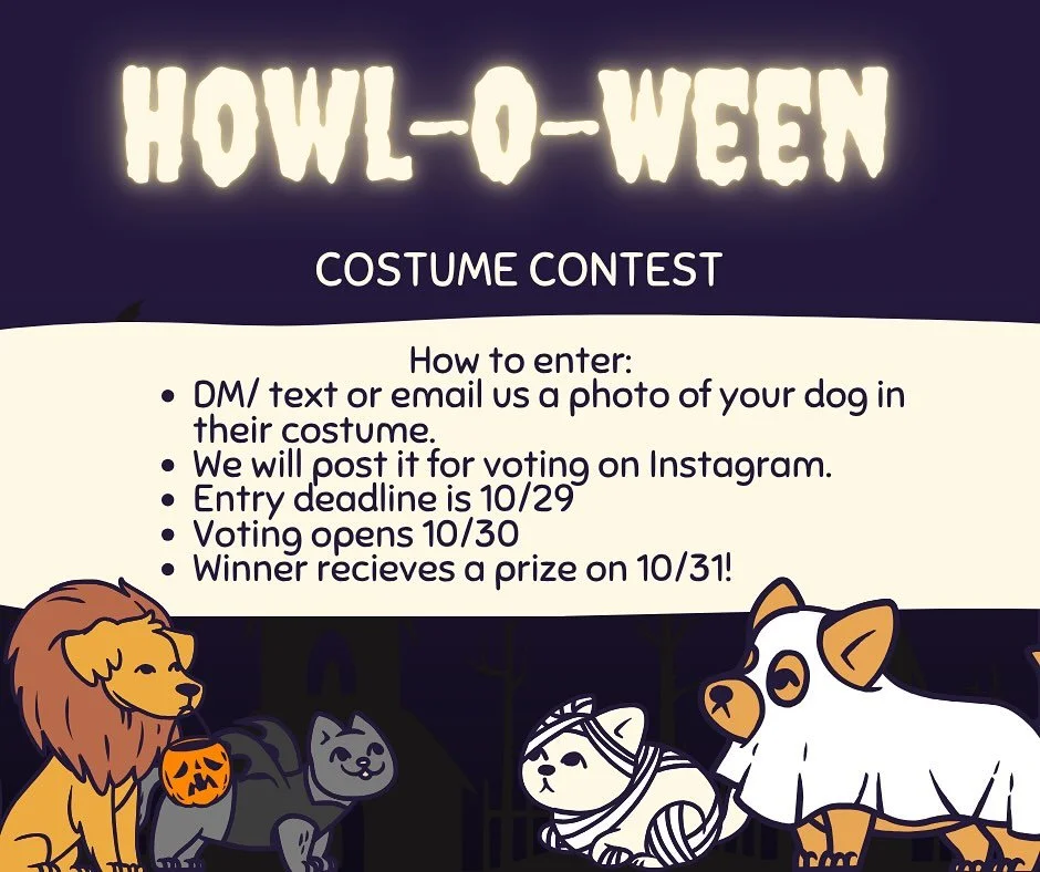 🎃 Howl-O-Ween Dog Costume Contest! 👻
We’re so excited to announce our Howl-O-Ween Costume Contest — a fun way to show off your pup’s personality and join in on the spooky season spirit! 🐾
How to Enter:
1️⃣ Dress up your dog in
