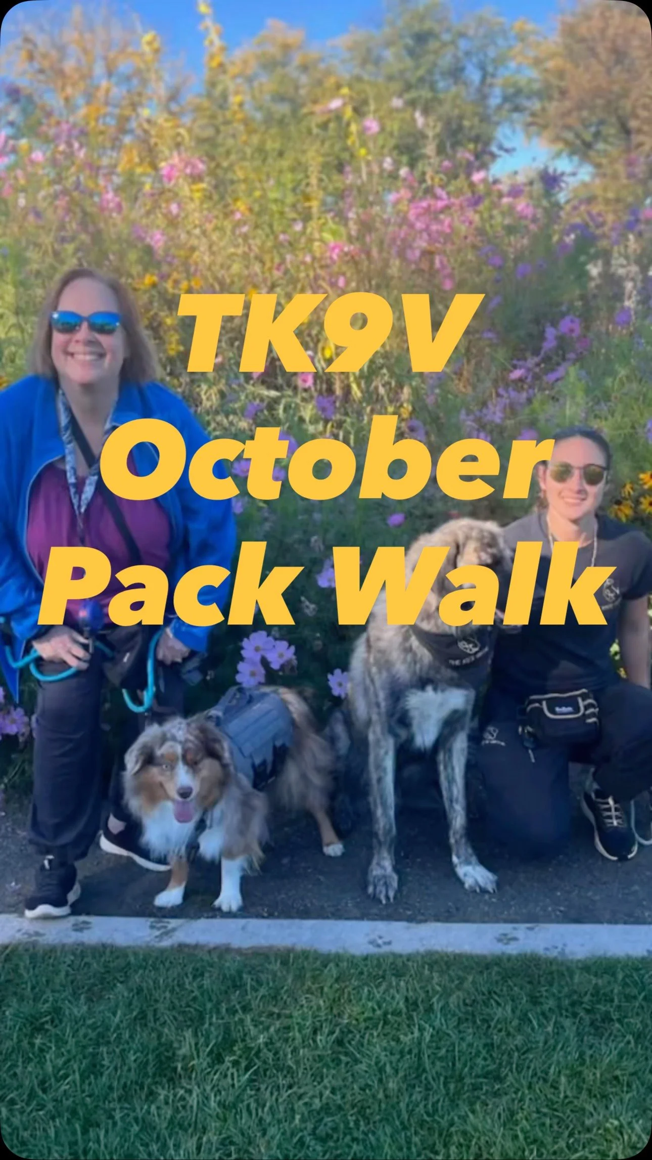 Thank you to everyone who joined us for this month’s pack walk! We’re soaking up each warm day while we can.
Timber the Aussie worked on walking confidently around other dogs and did an awesome job!