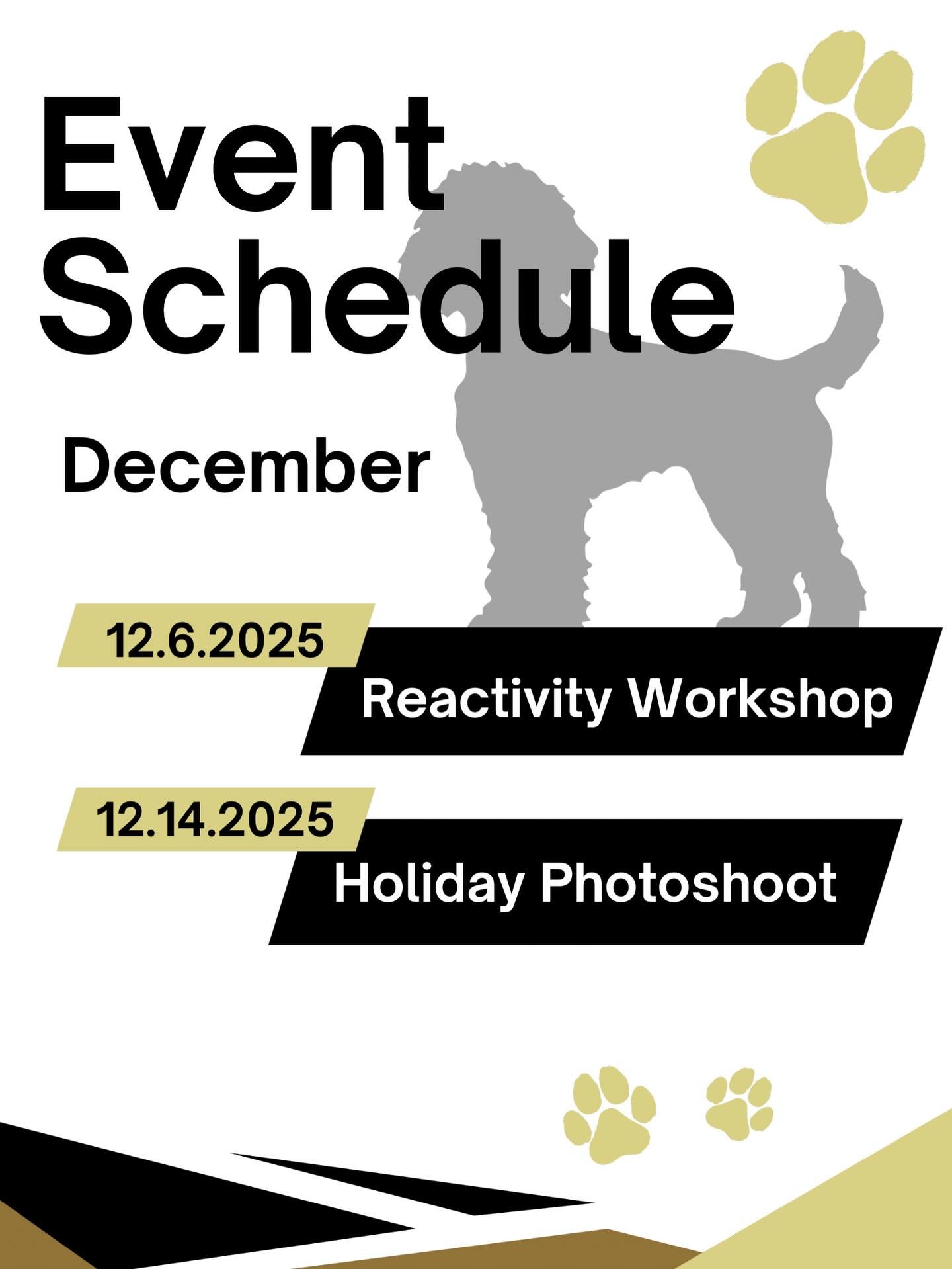 December Event Lineup!
It&rsquo;s a busy month for most, so we&rsquo;re simplifying our schedule &mdash; no hike or pack walk this time. Instead, we&rsquo;re hosting a Reactivity Park Workshop!
Not quite confident bringing your dog to our regular eve