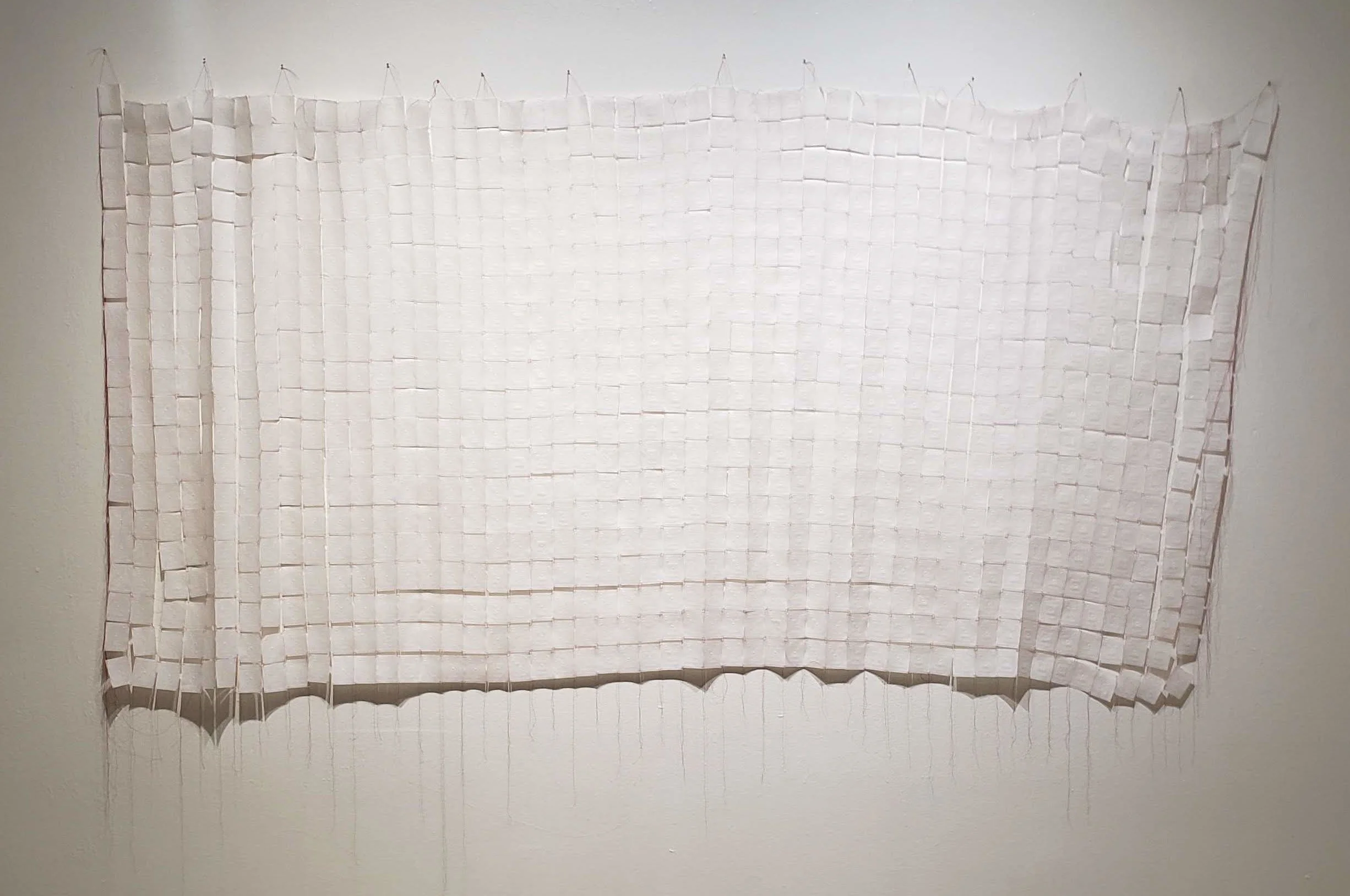Out of the Furrow: Tapestry, 2021, Paper and silk thread, 48 x 96 inches