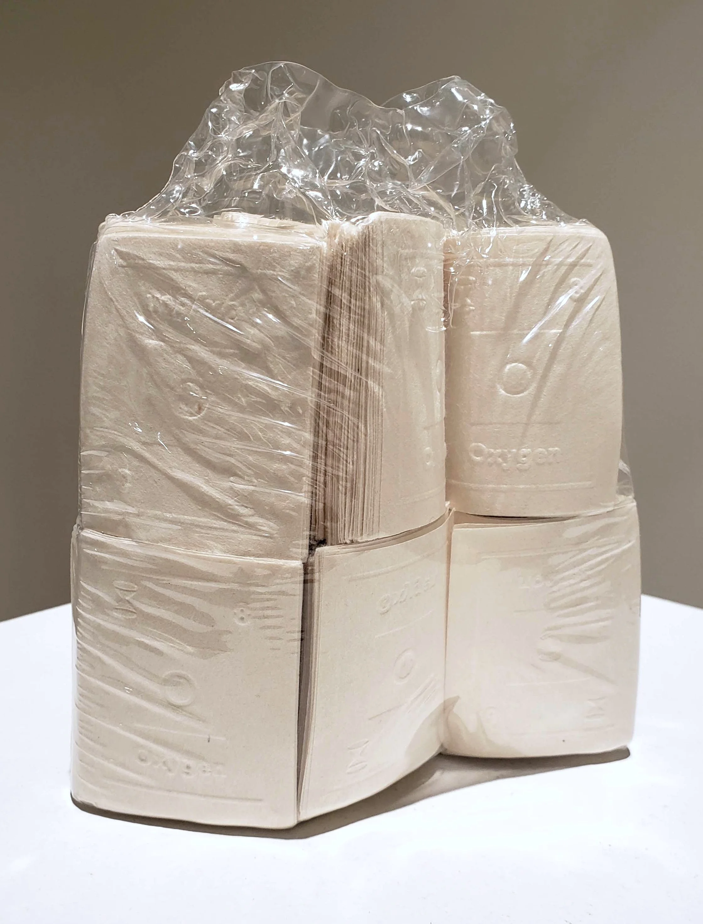Out of the Furrow: Shrink-wrap, 2021, Paper and shrink-wrap, 6 x 5 ½  x 2 ½ inches