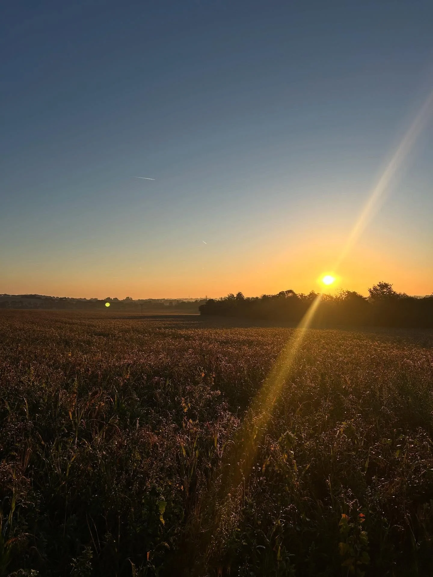 This morning felt different. I actually got up early, did my yoga and meditation, took the dog for a full hour&rsquo;s walk&hellip; and was still sat down ready to work by 9. Even caught the last bit of sunrise on the way back. 🌅

Before last week&r