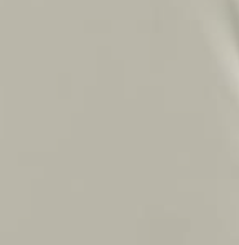 Silver Blank Dry-Fit Tee