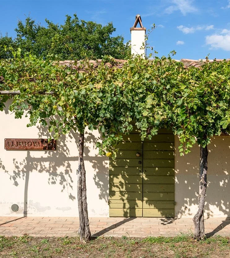 The charm of small producers in a world of big brands