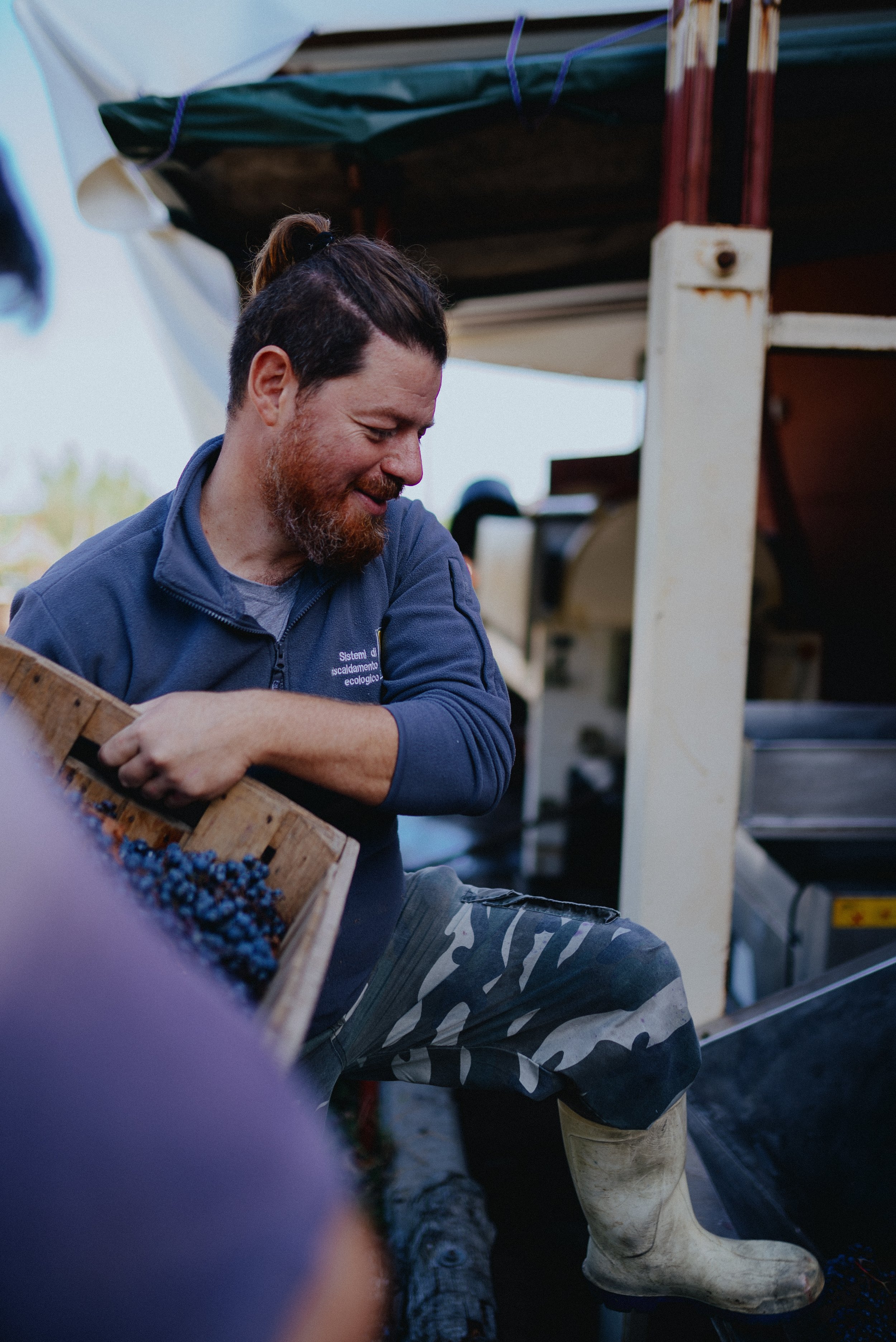 La Piana - Mirco Gianaroli