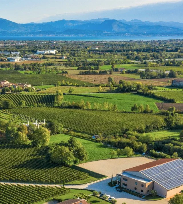 Lugana wine &amp; climate change: Can sustainability save this historic region?