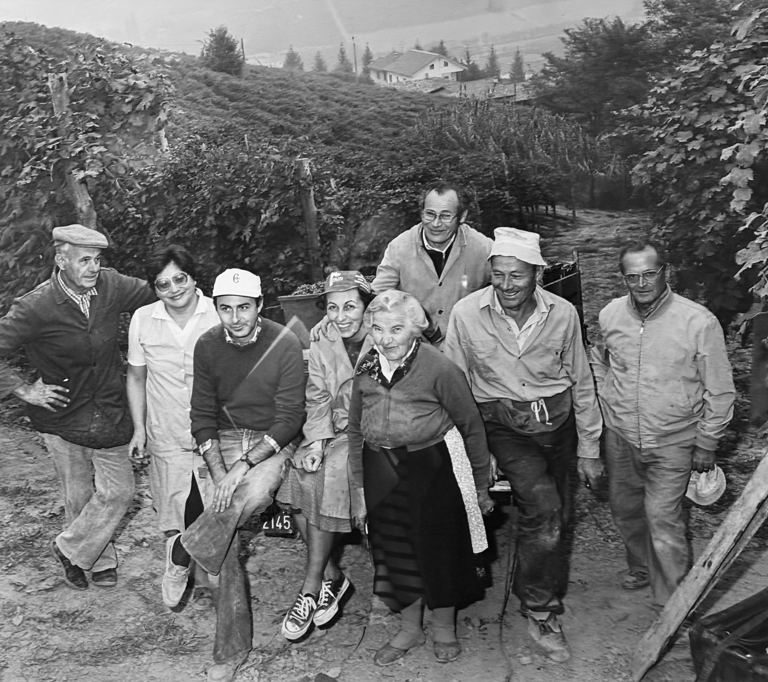 Winemaking &amp; Business: The Timeless Power of Authenticity