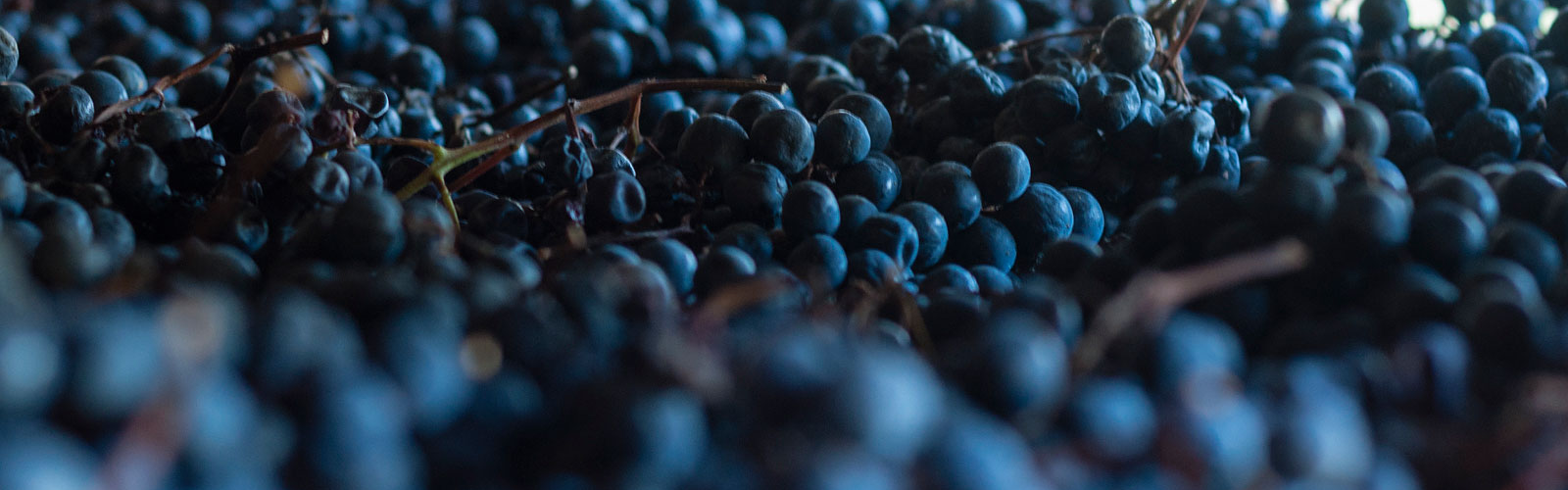 The Arèle method: Crafting complexity in every bottle