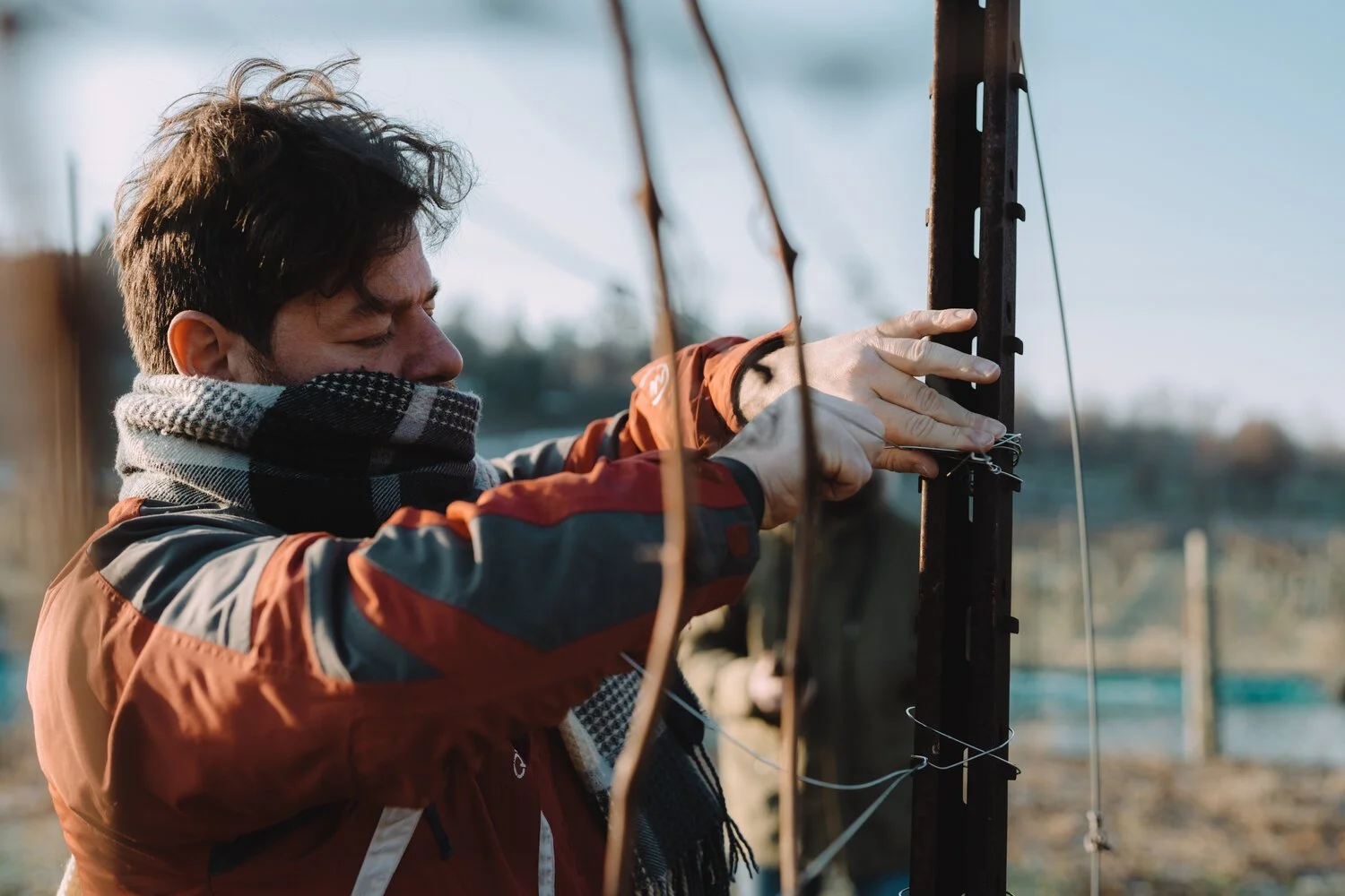 The Boy who became the Vineyard: Mirco Gianaroli’s Winemaking Legacy