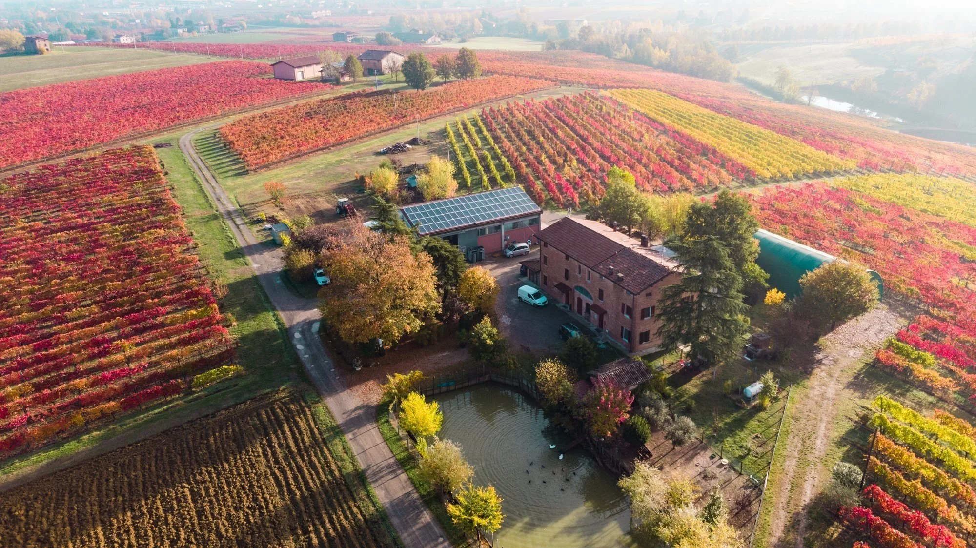 Castelvetro di Modena: Where Terroir and Tradition Embrace