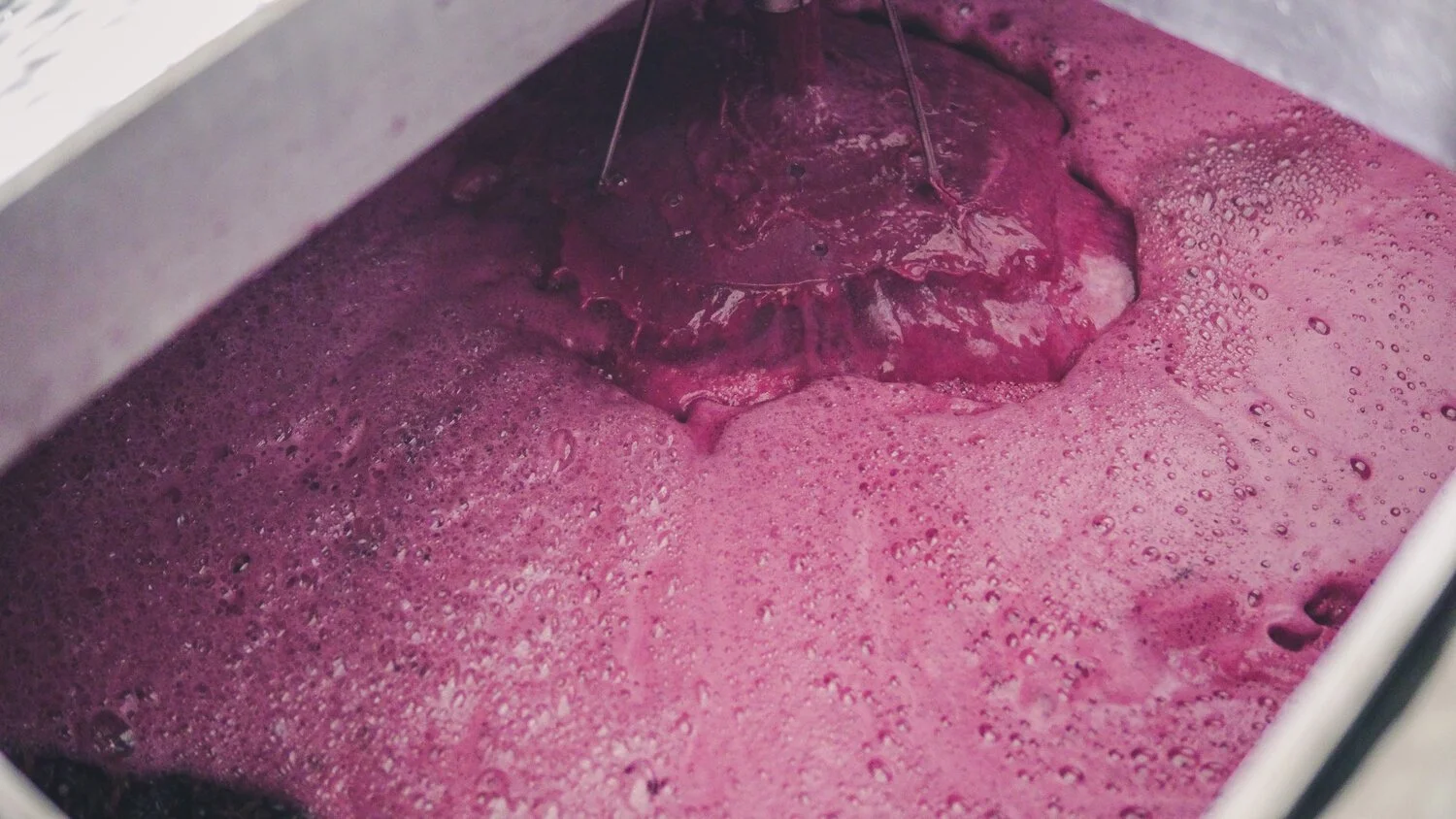 Lambrusco Grasparossa di Castelvetro: The Sparkling Heart of Emilia