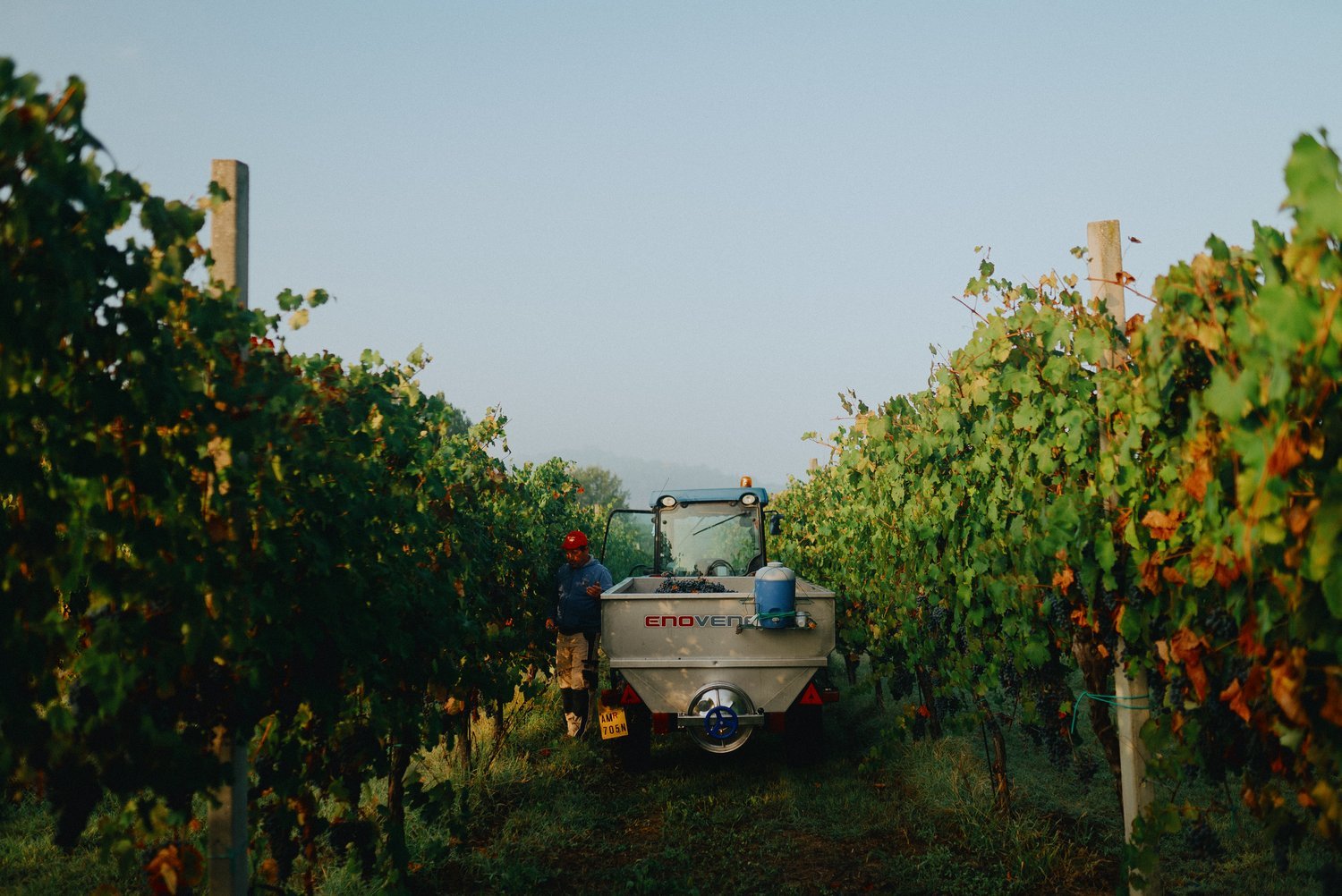 Farming with a Future: Sustainability at La Piana Winery