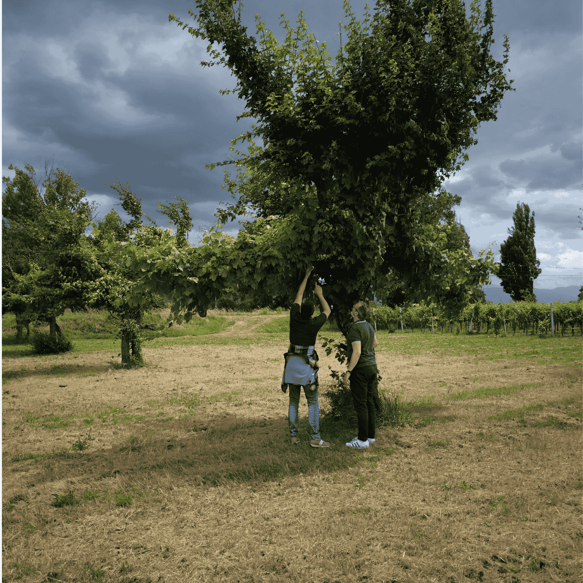 Farming for Flavor, Family, and the Generations Still to Come