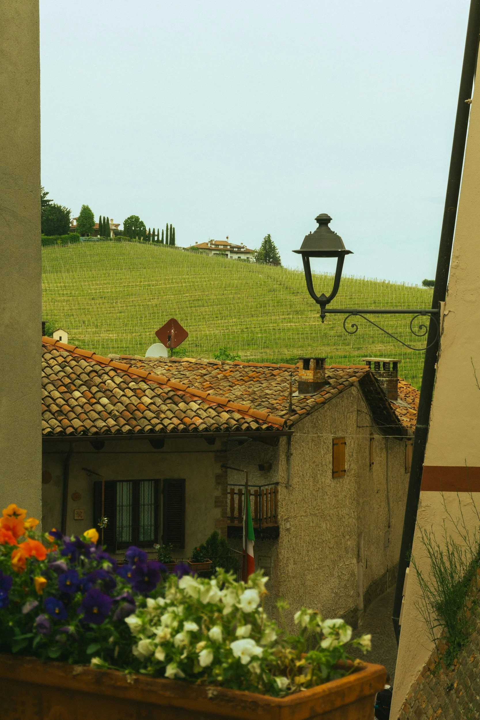 A view from a balcony or terrace looking out over a rustic Italian village, with colorful flowers in a window box in the foreground, tiled roofs, and a hill with vineyards and trees under a cloudy sky.
