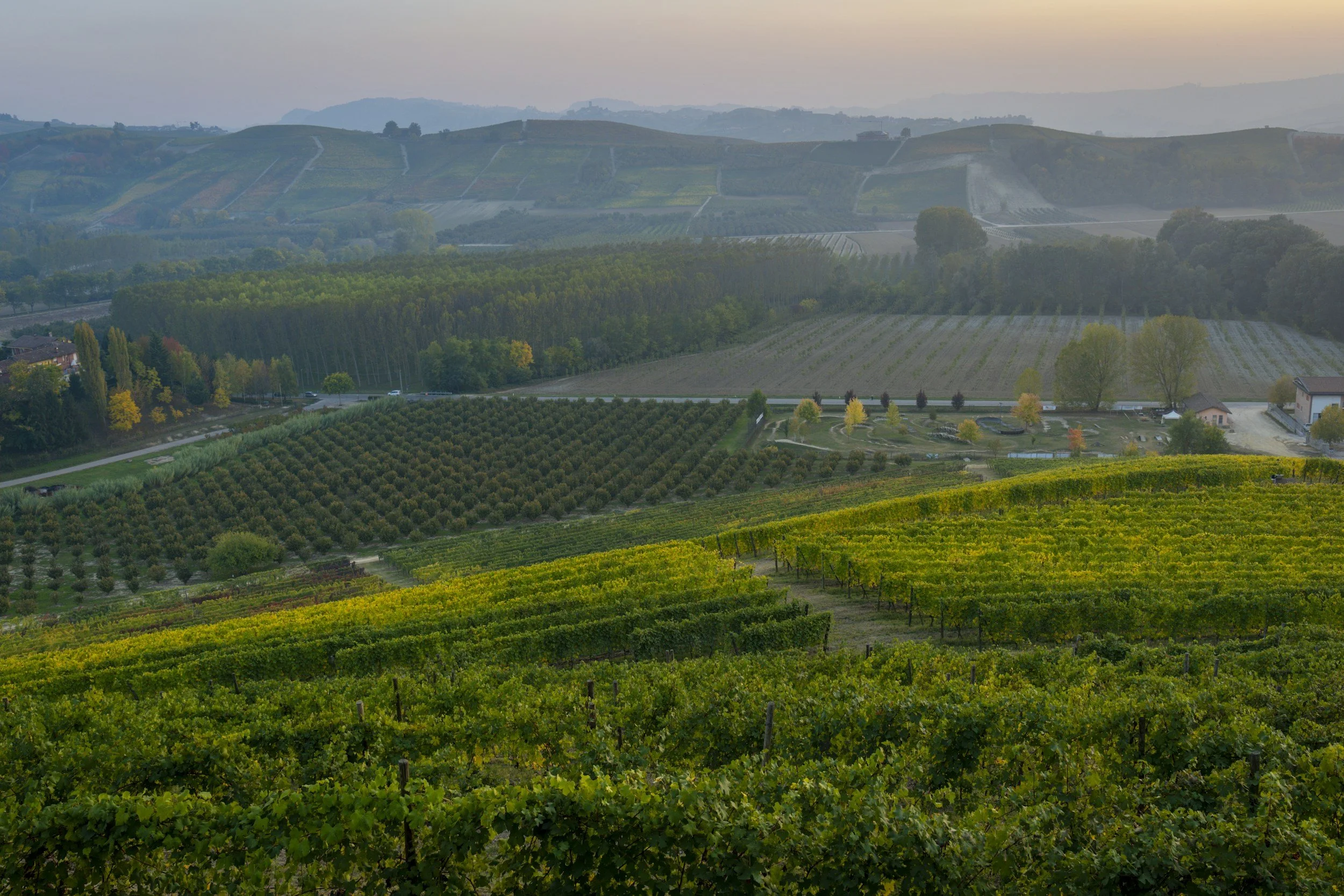 A scenic view of rolling hills with vineyards and farm fields, trees with colorful foliage, and distant mountains under a pastel-colored sky.