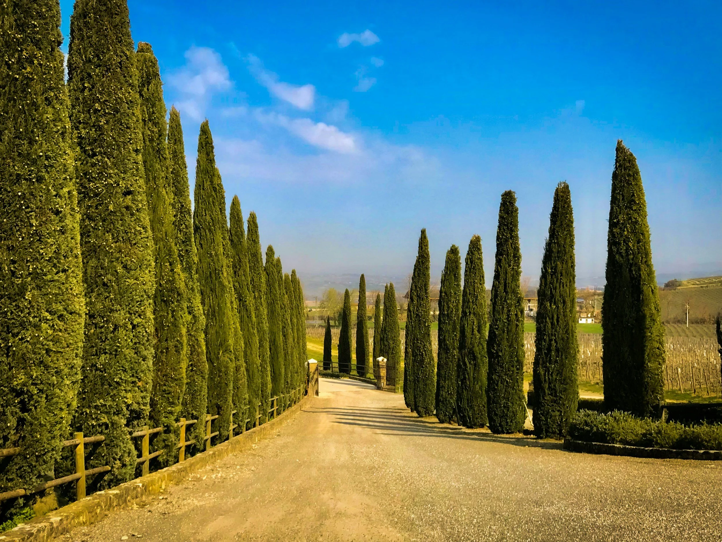 A path lined with tall cypress trees on both sides, leading to a rural landscape with buildings and rolling hills in the distance under a blue sky with some scattered clouds.