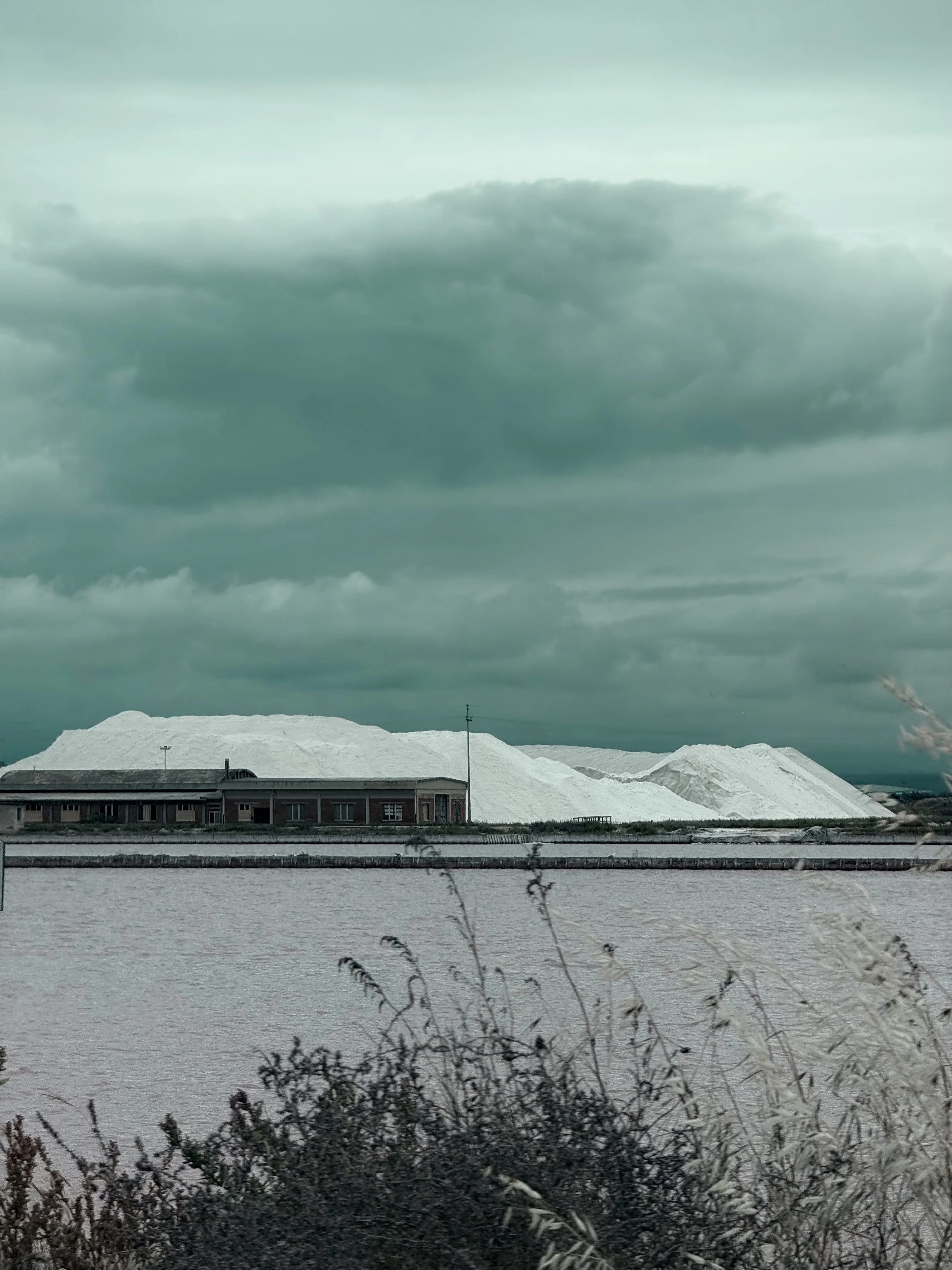 Large snow piles behind a building under a cloudy sky, with some dry grass and plants in the foreground.