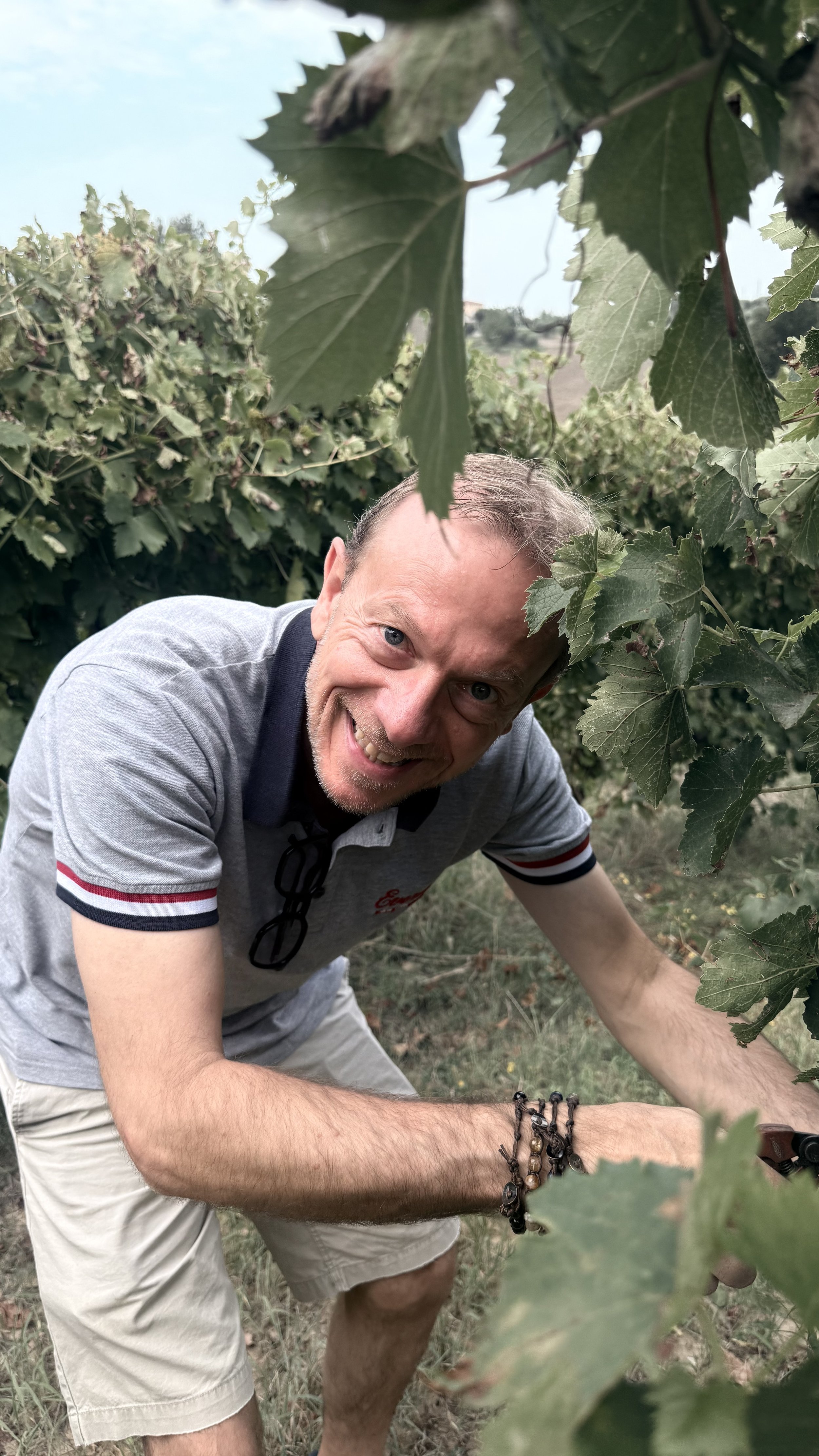 Man wearing glasses and a blue polo shirt smiling outdoors in a vineyard.