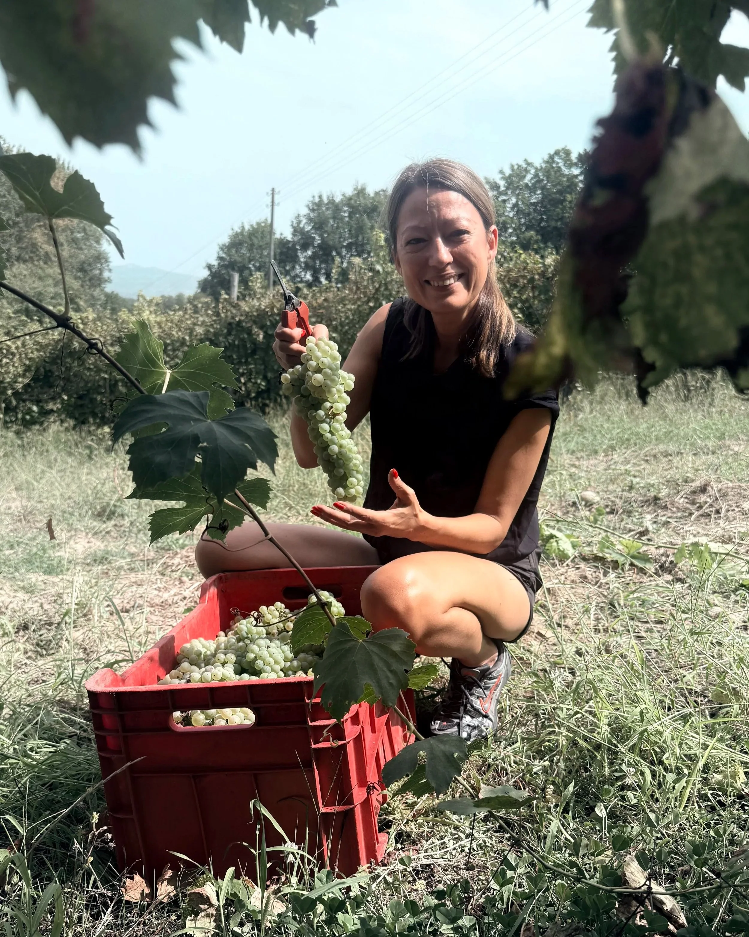 Woman smiling in a vineyard, holding a vine with green leaves.